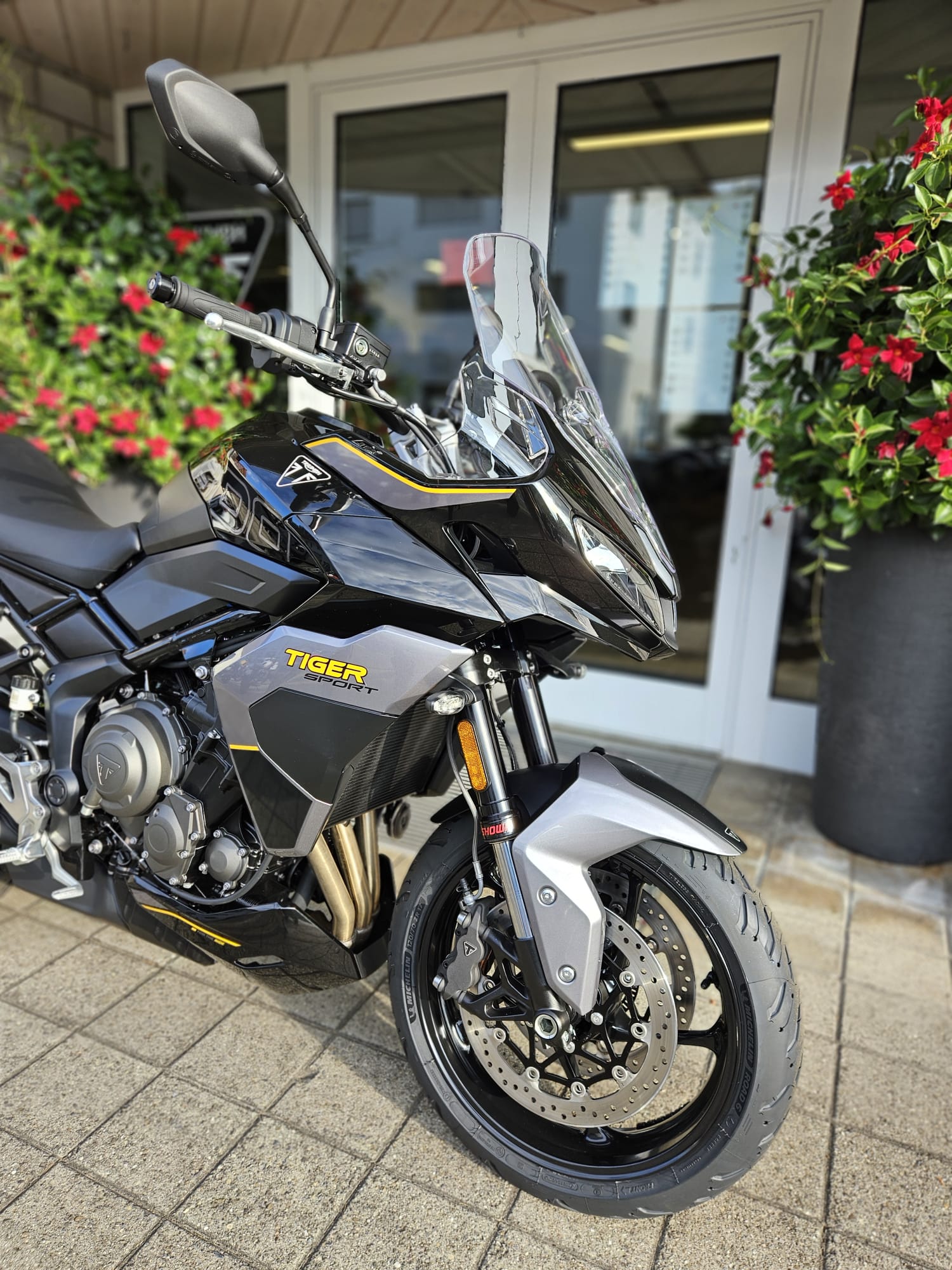 TRIUMPH Tiger Sport 800-image-7
