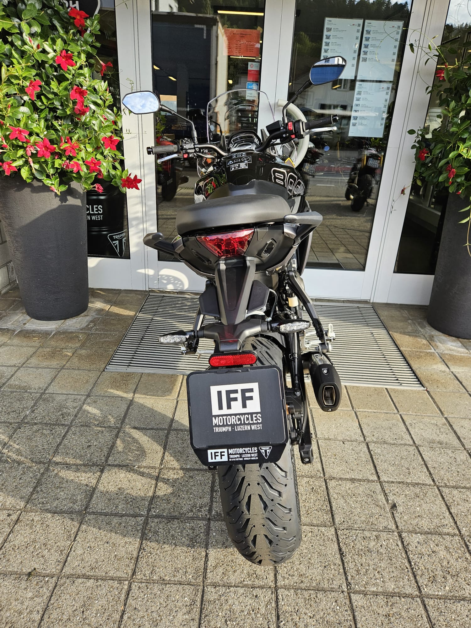 TRIUMPH Tiger Sport 800-image-6