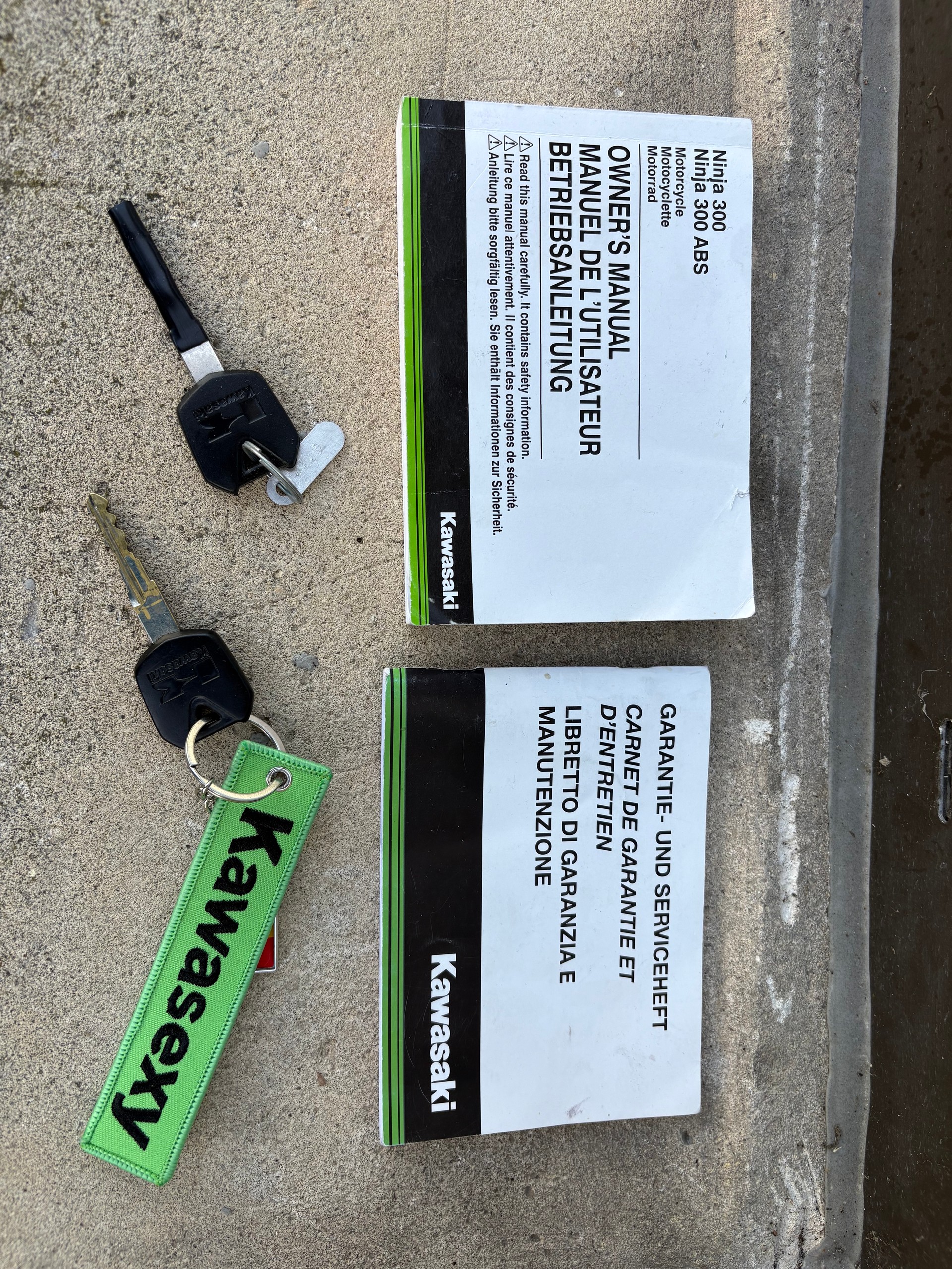 KAWASAKI Ninja 300 ABS-image-8