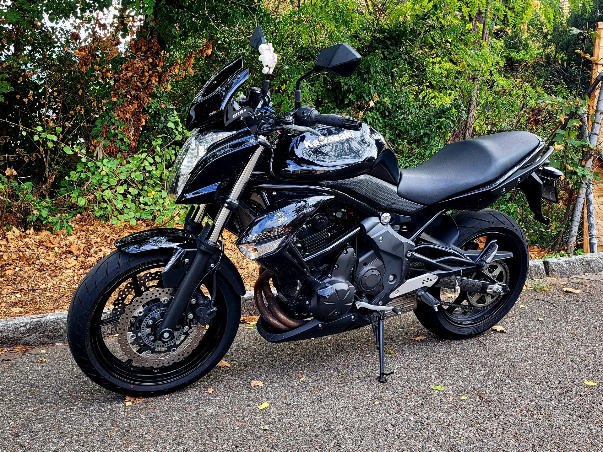 KAWASAKI ER-6 n ABS (25kW)-image-2