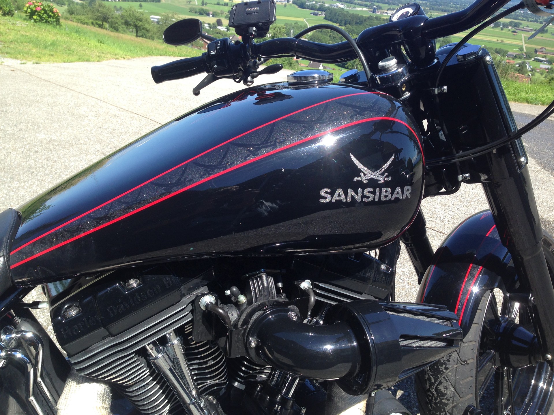 HARLEY-DAVIDSON Custombike-image-2