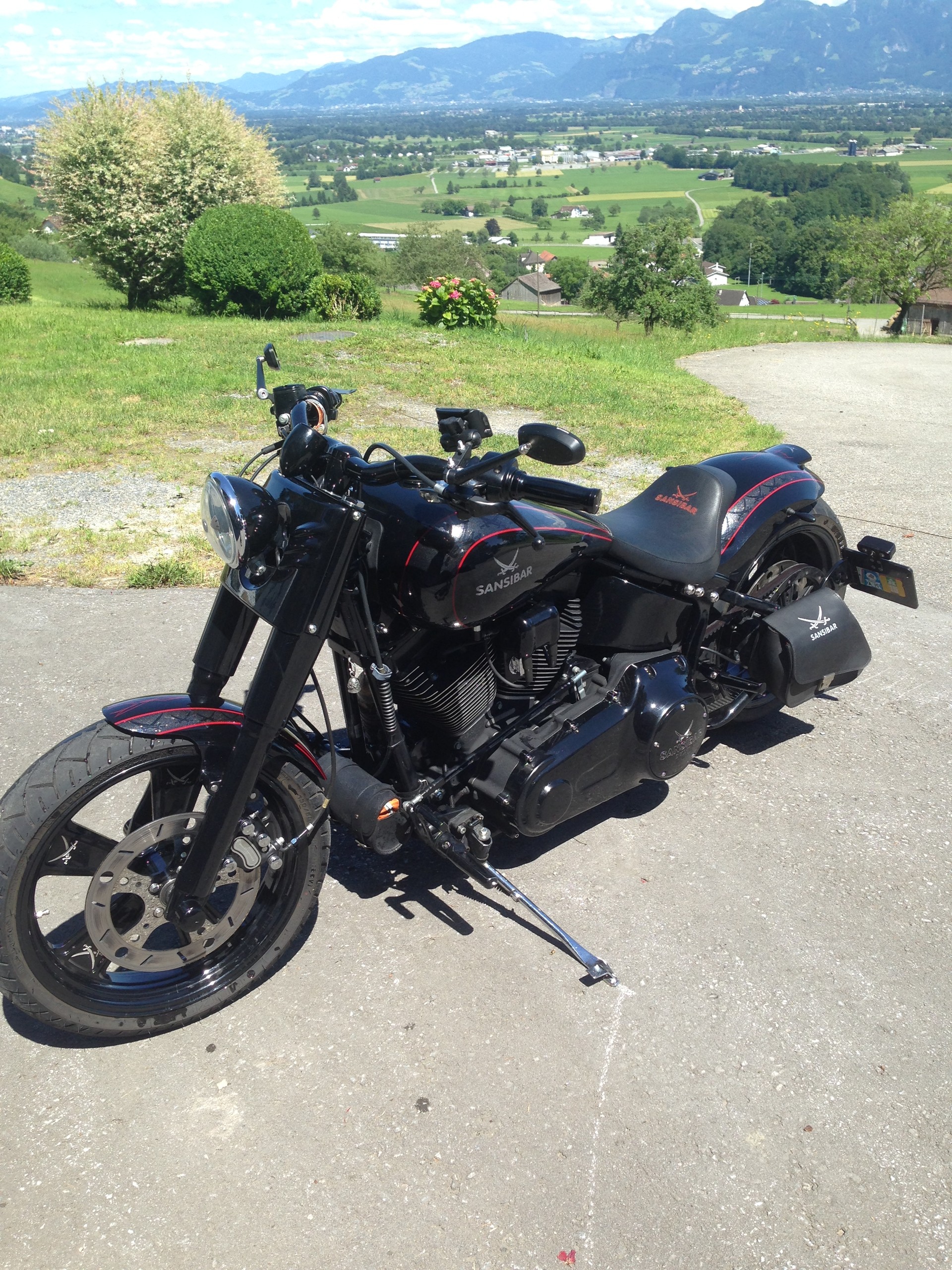 HARLEY-DAVIDSON Custombike-image-4