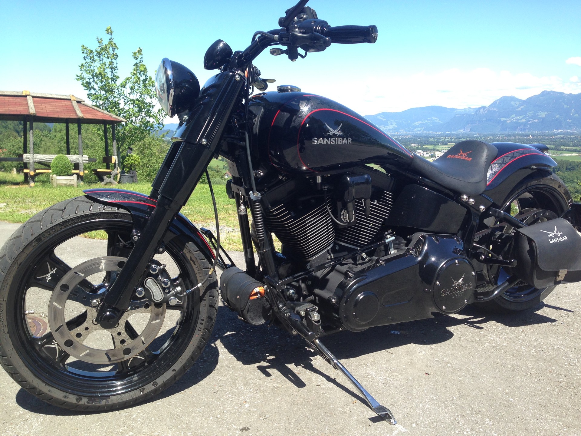 HARLEY-DAVIDSON Custombike-image-3