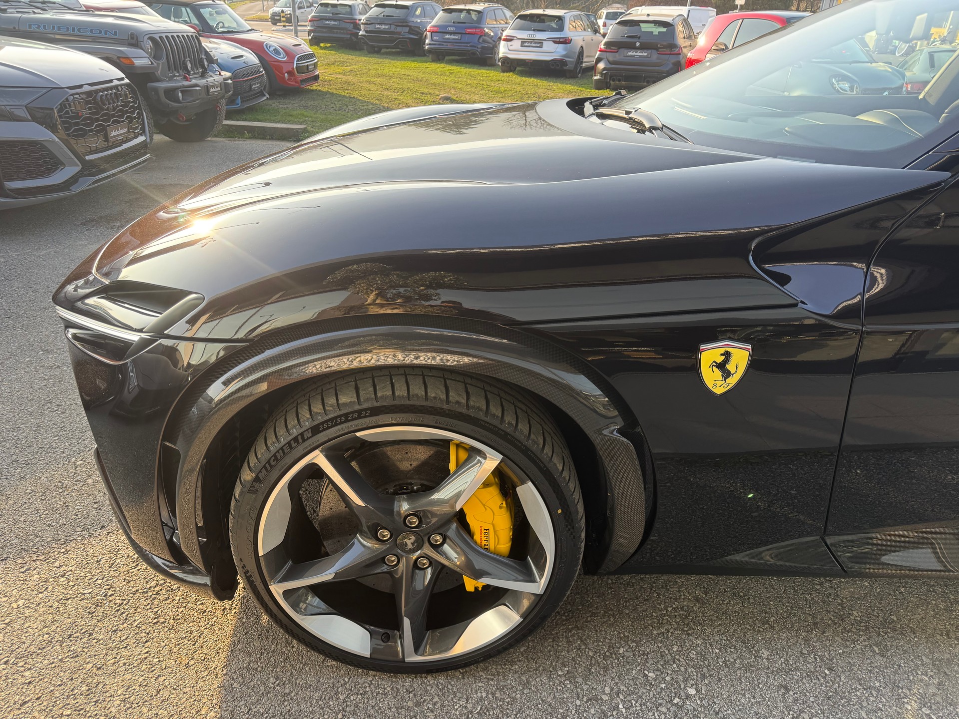 FERRARI PUROSANGUE-image-20