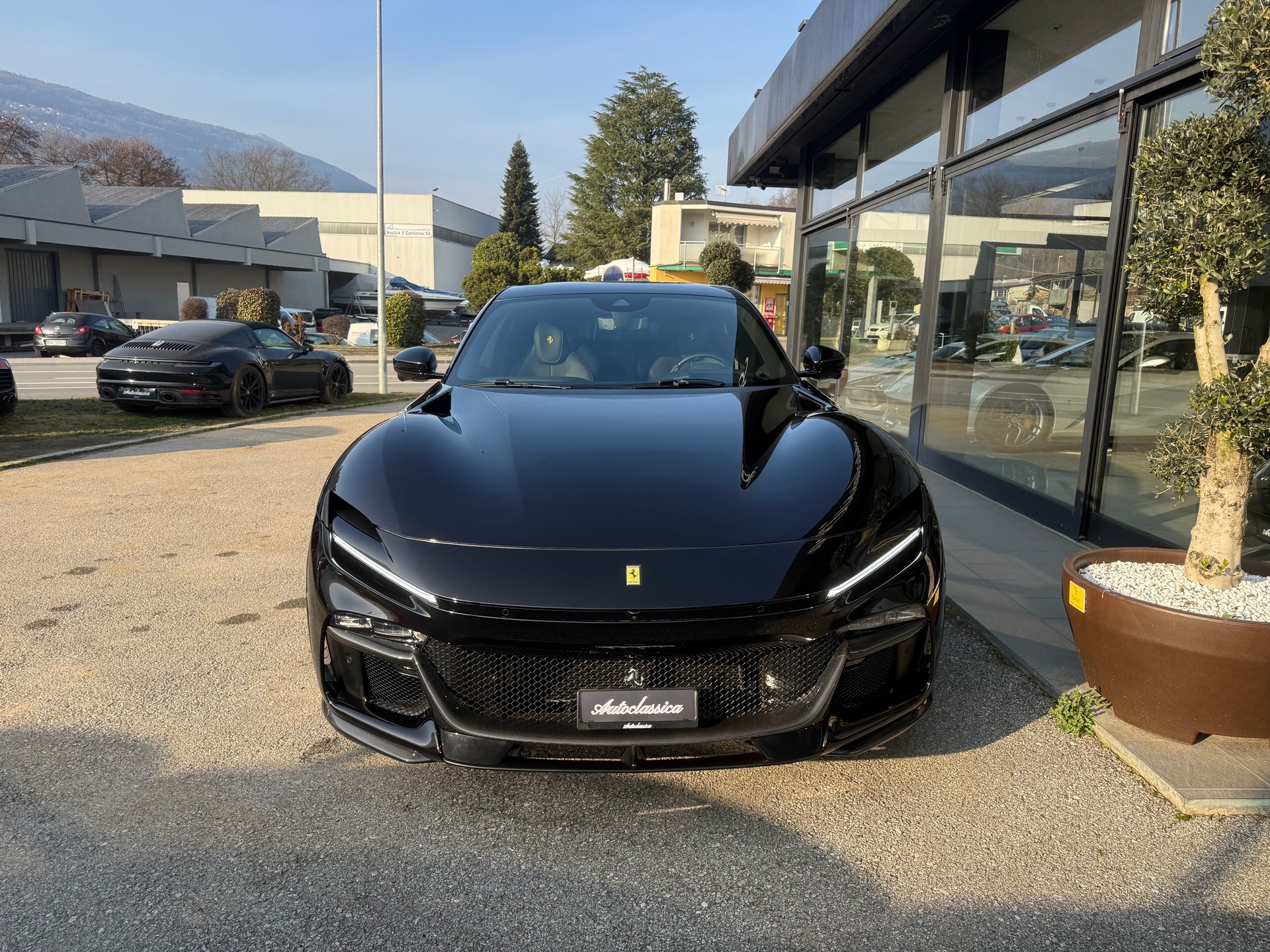 FERRARI PUROSANGUE-showroom-element-1
