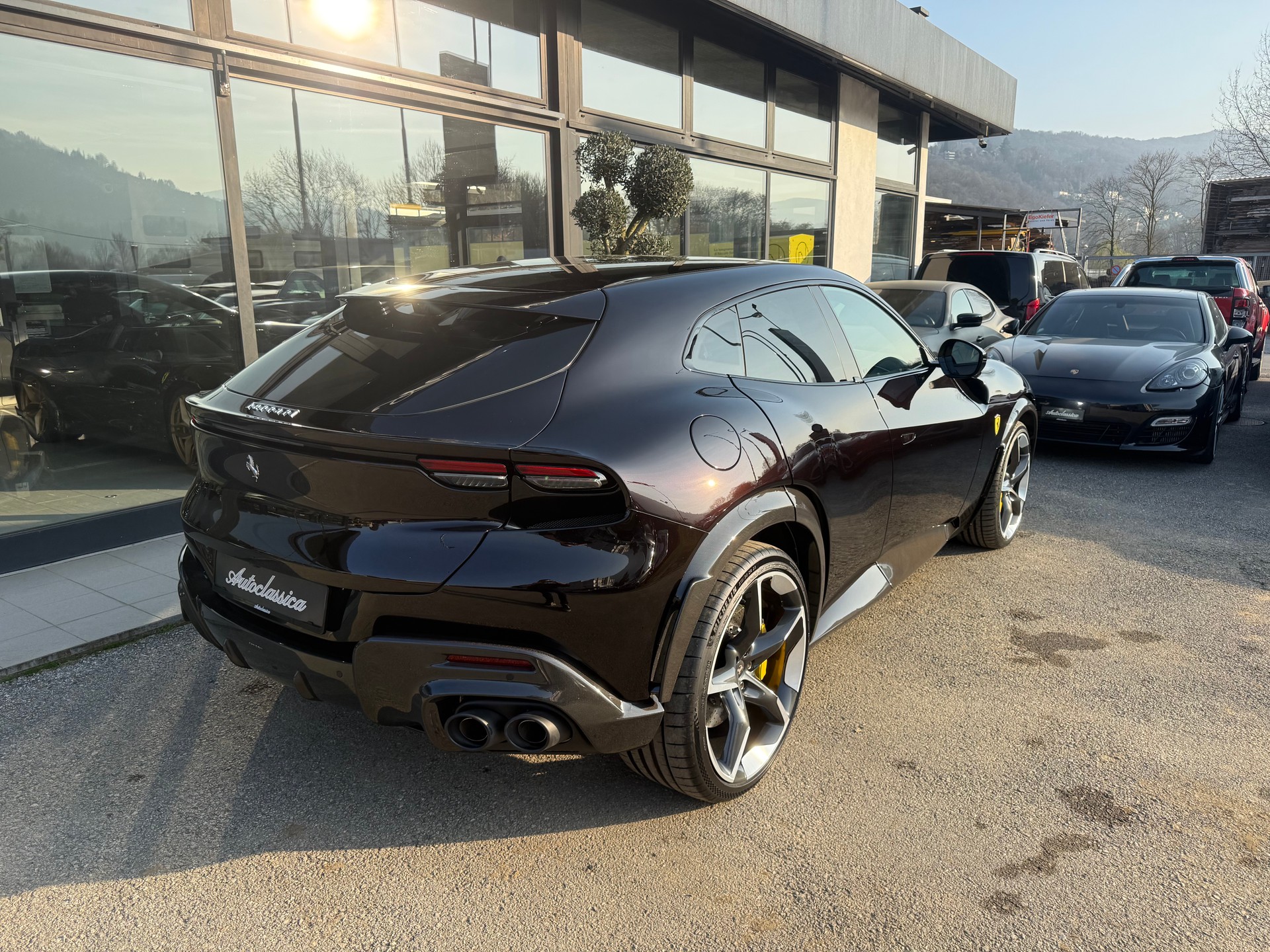 FERRARI PUROSANGUE-image-7