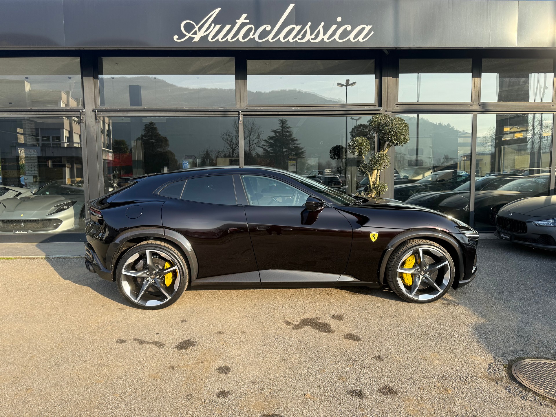 FERRARI PUROSANGUE-showroom-element-3