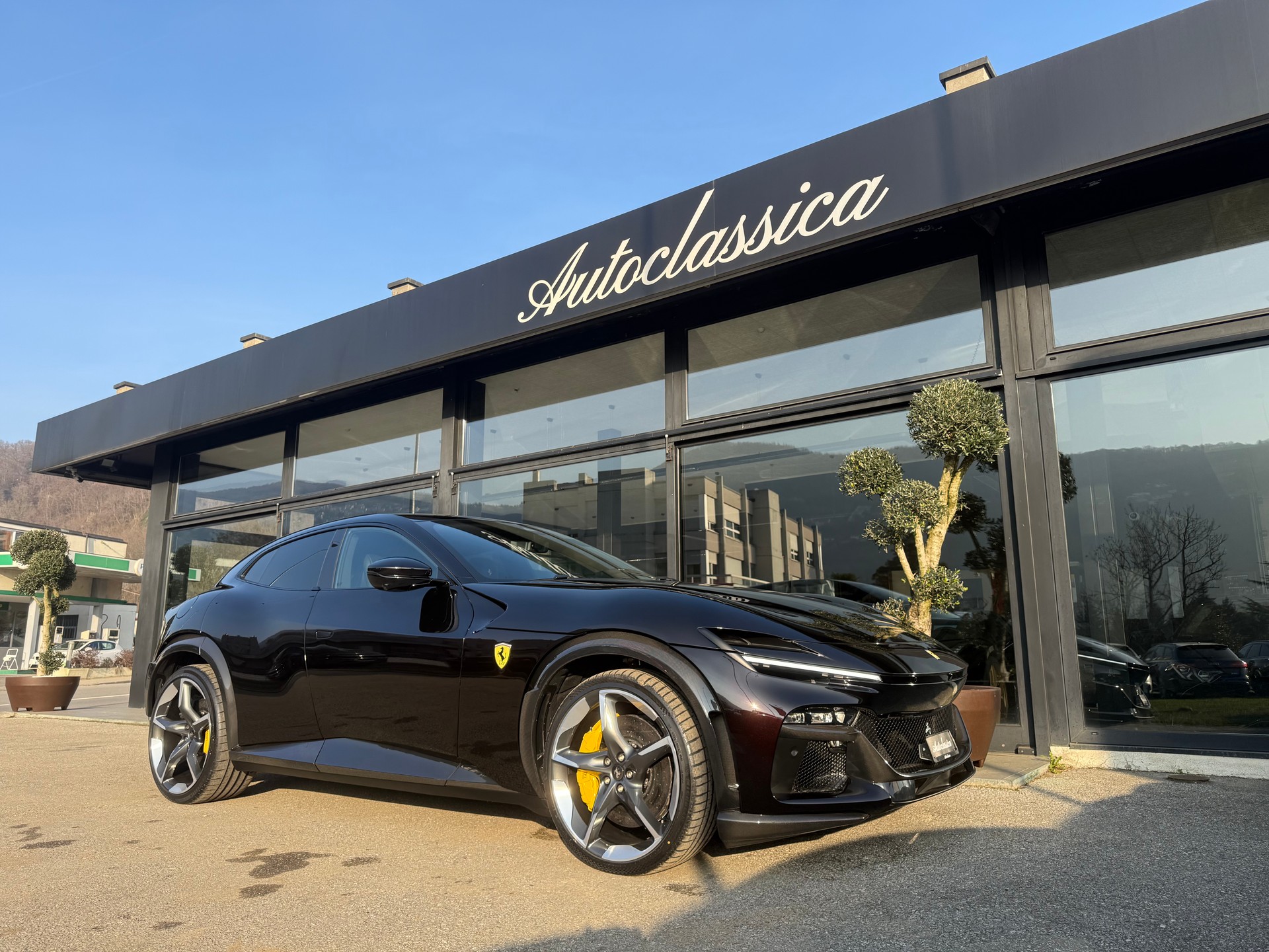 FERRARI PUROSANGUE-image-4