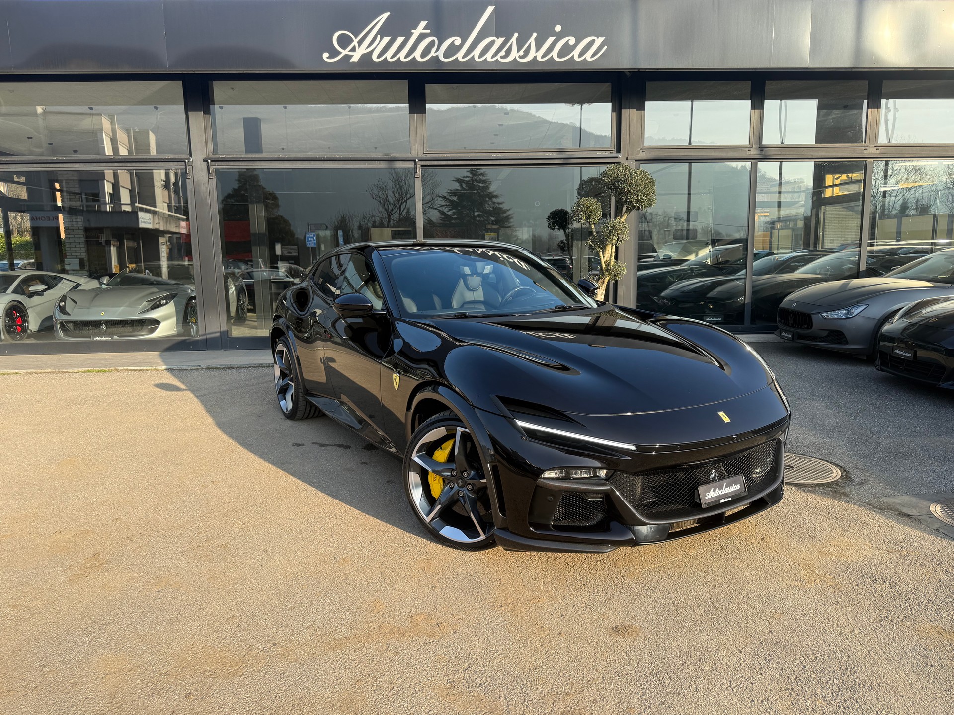 FERRARI PUROSANGUE