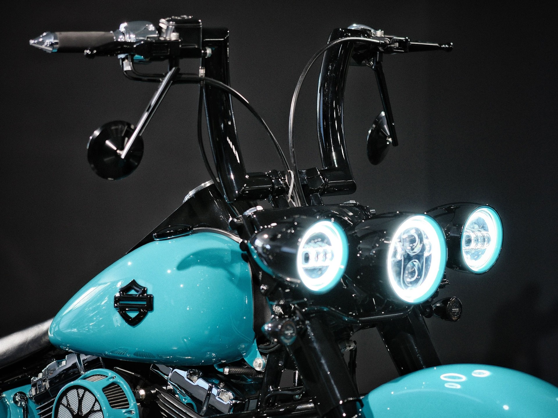 HARLEY-DAVIDSON FLSTN Softail Deluxe ABS-image-10