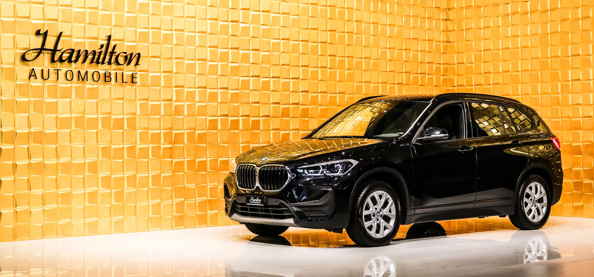 BMW X1 20d xDrive Steptronic-showroom-element-1