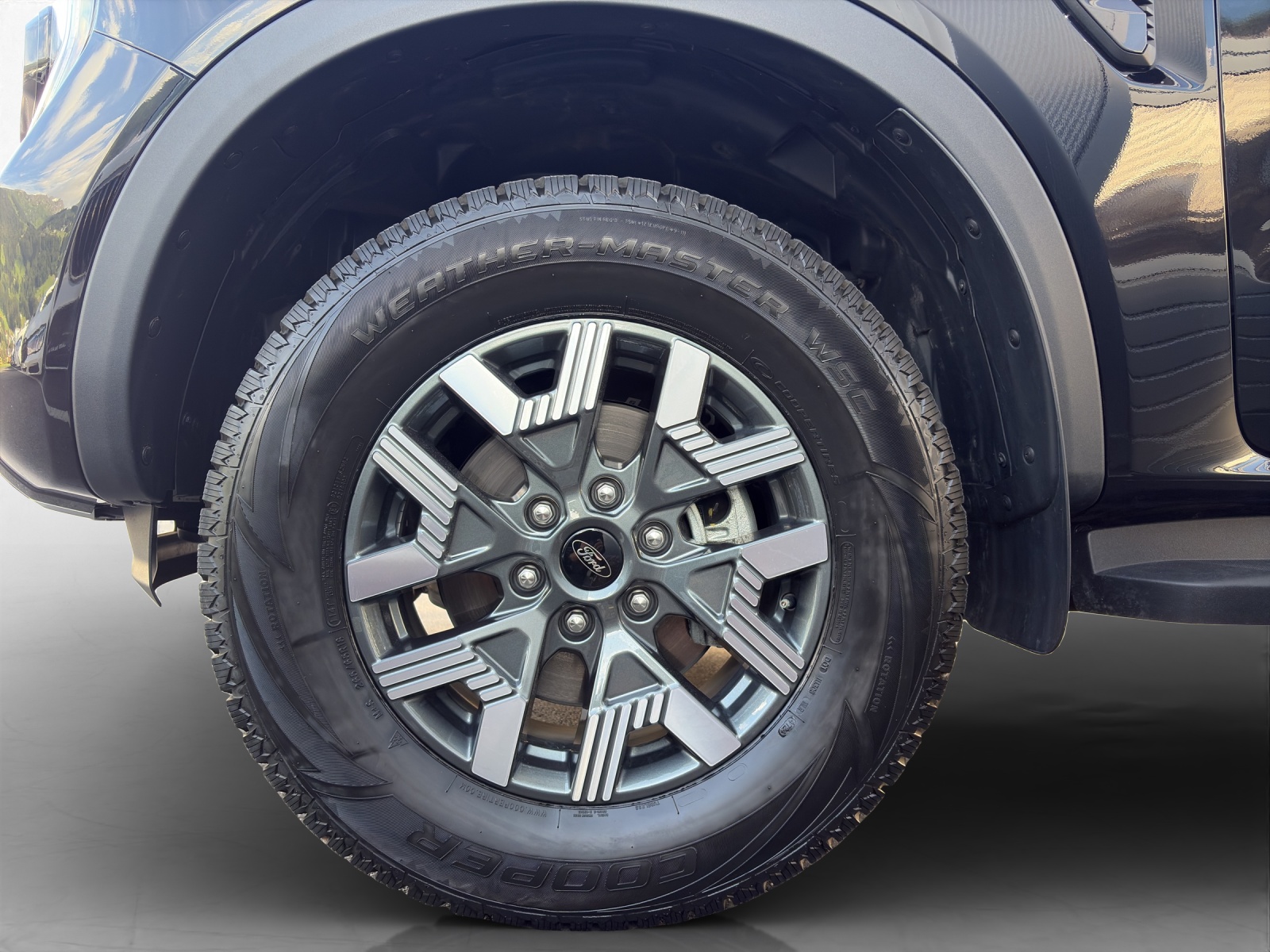 FORD Ranger DKab.Pick-up 2.3 EcoBoost 4x4 Wildtrak PHEV-image-8