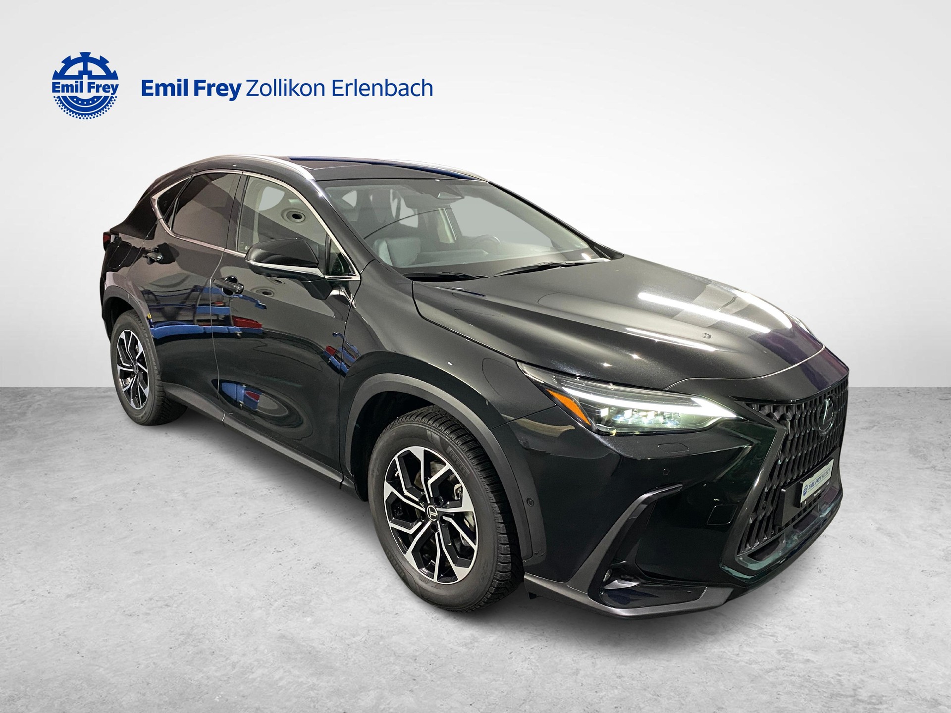 LEXUS NX 450h+ Excellence-image-6