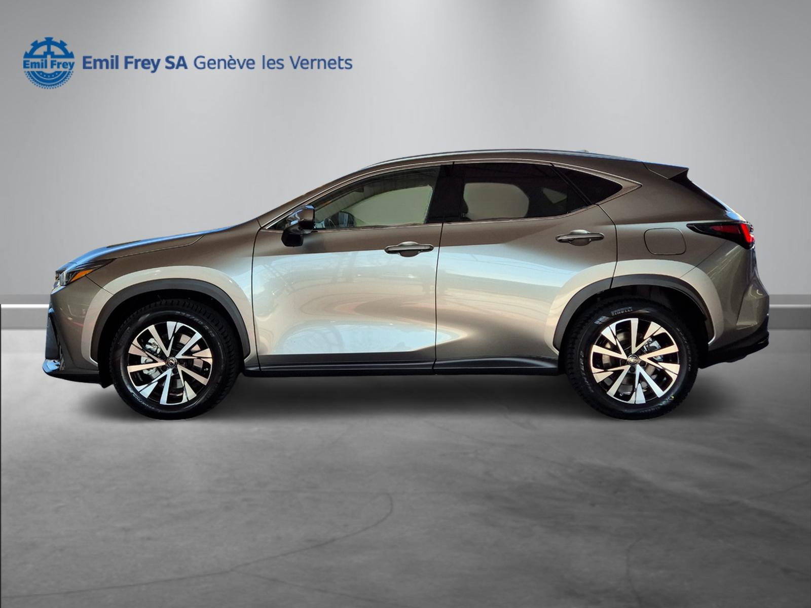 LEXUS NX 450h+ Comfort-showroom-element-3