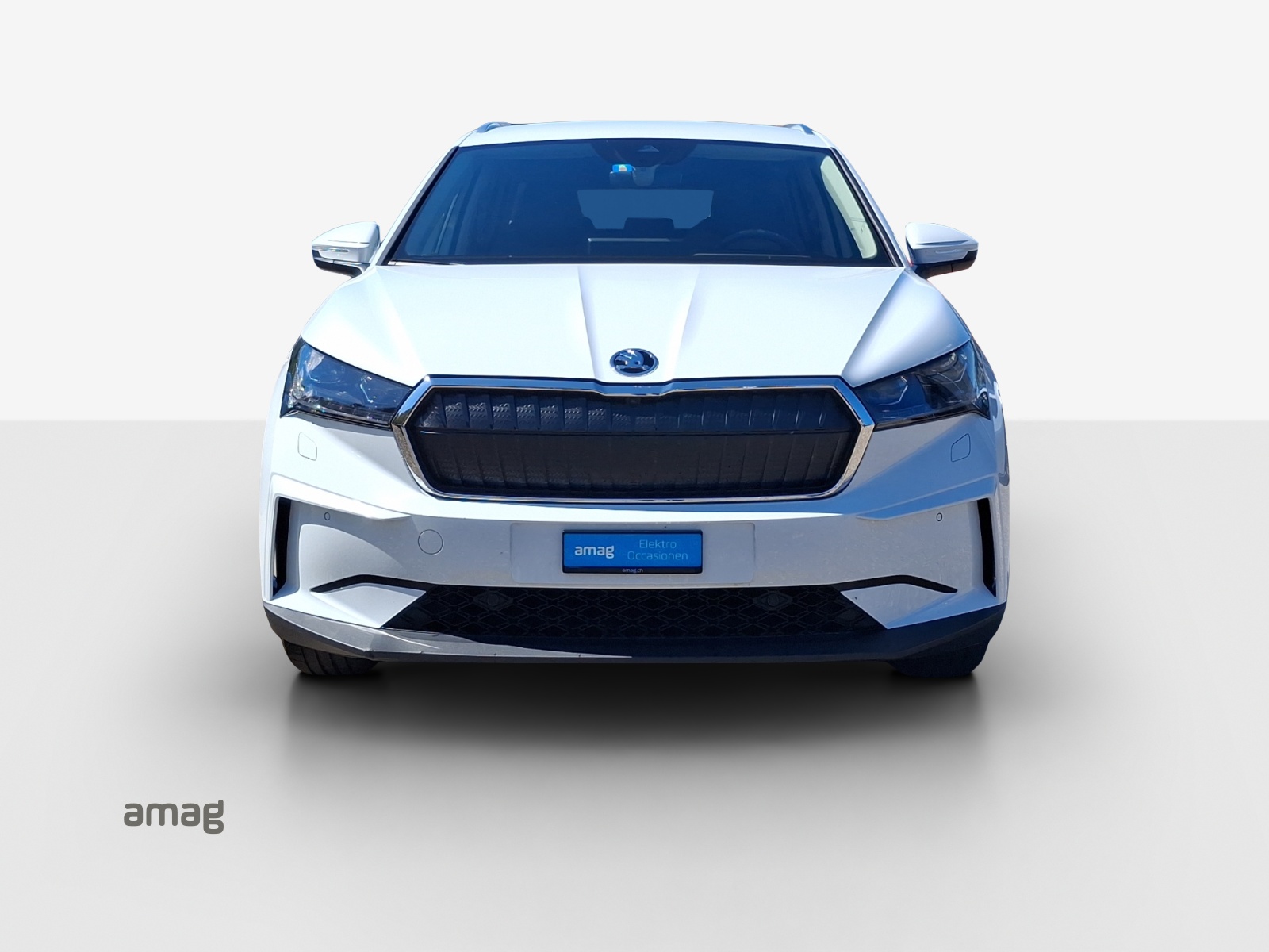 SKODA Enyaq iV 80x-image-6