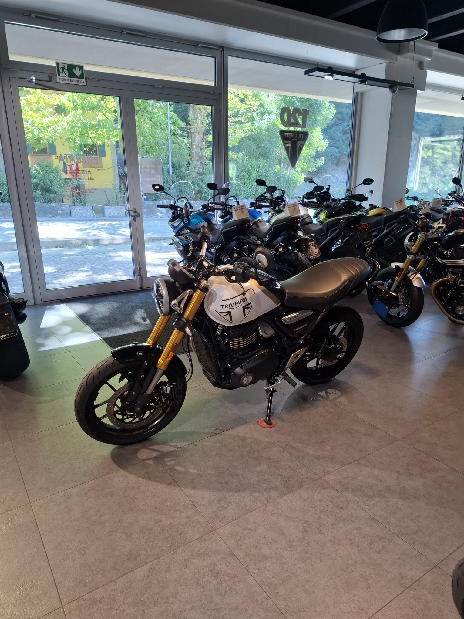 TRIUMPH Speed 400-image-3