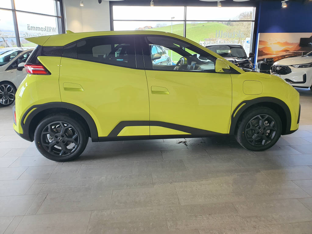 BYD Dolphin Surf Comfort-showroom-element-3
