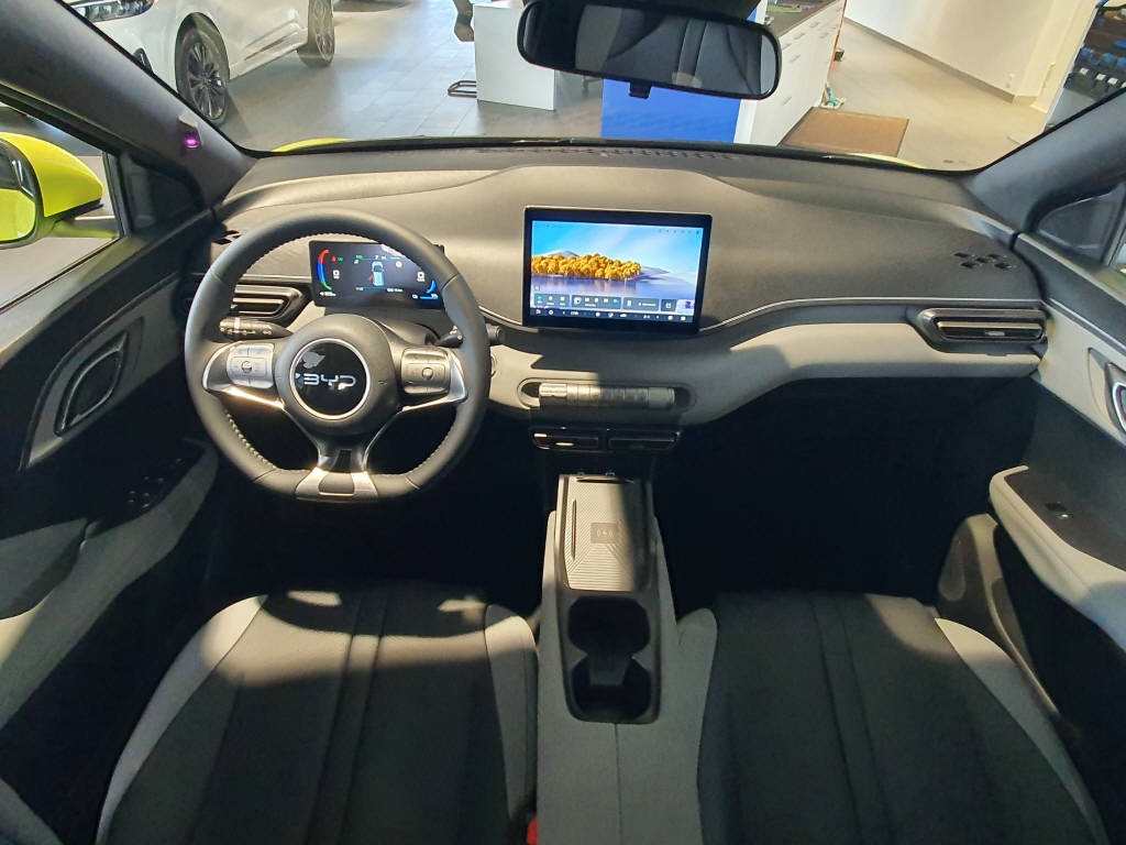 BYD Dolphin Surf Comfort-image-18