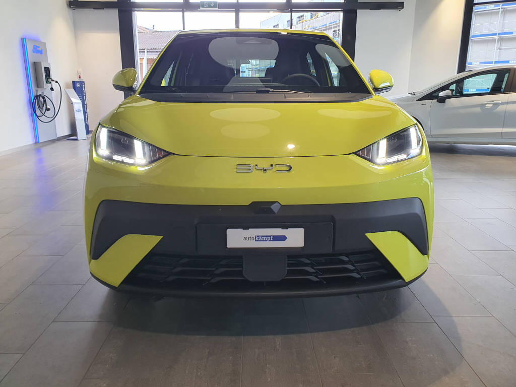 BYD Dolphin Surf Comfort-showroom-element-1