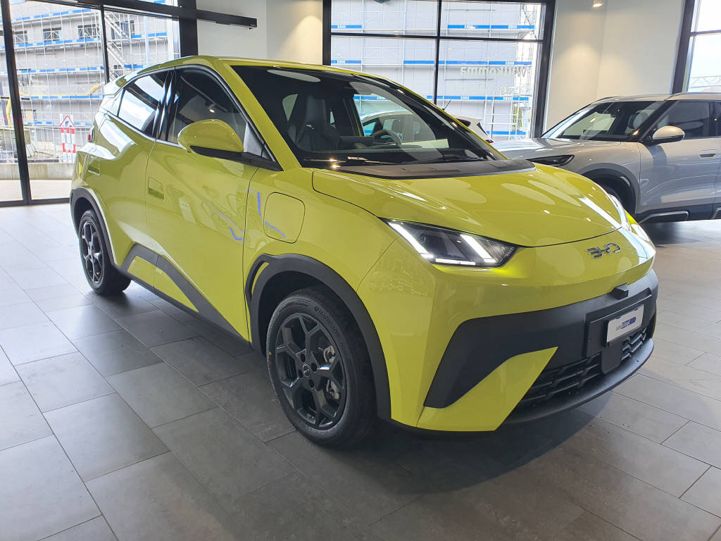 BYD Dolphin Surf Comfort-showroom-element-2