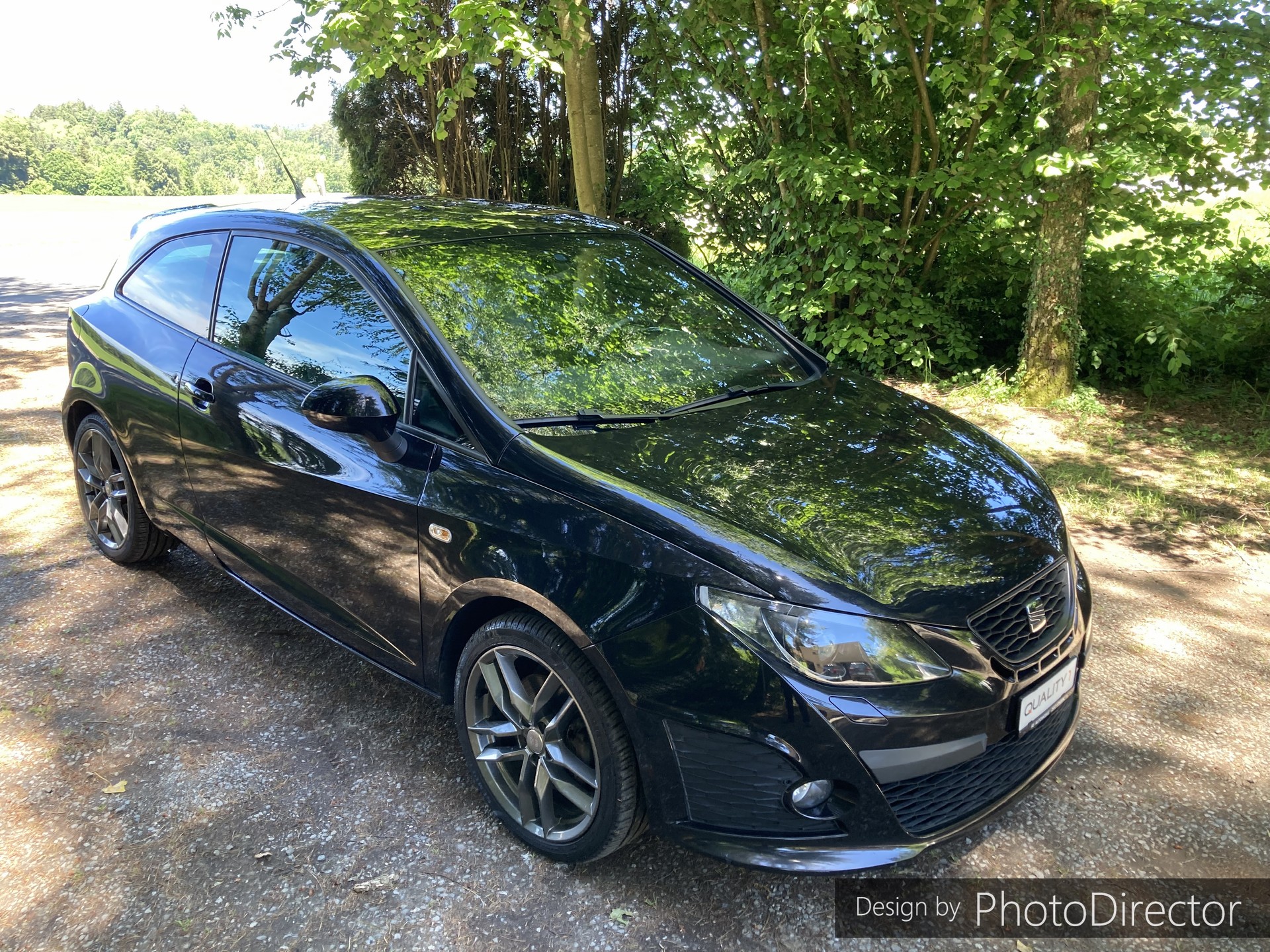 SEAT Ibiza SC 1.4 TSI Cupra R210 Swiss Racing DSG-image-13