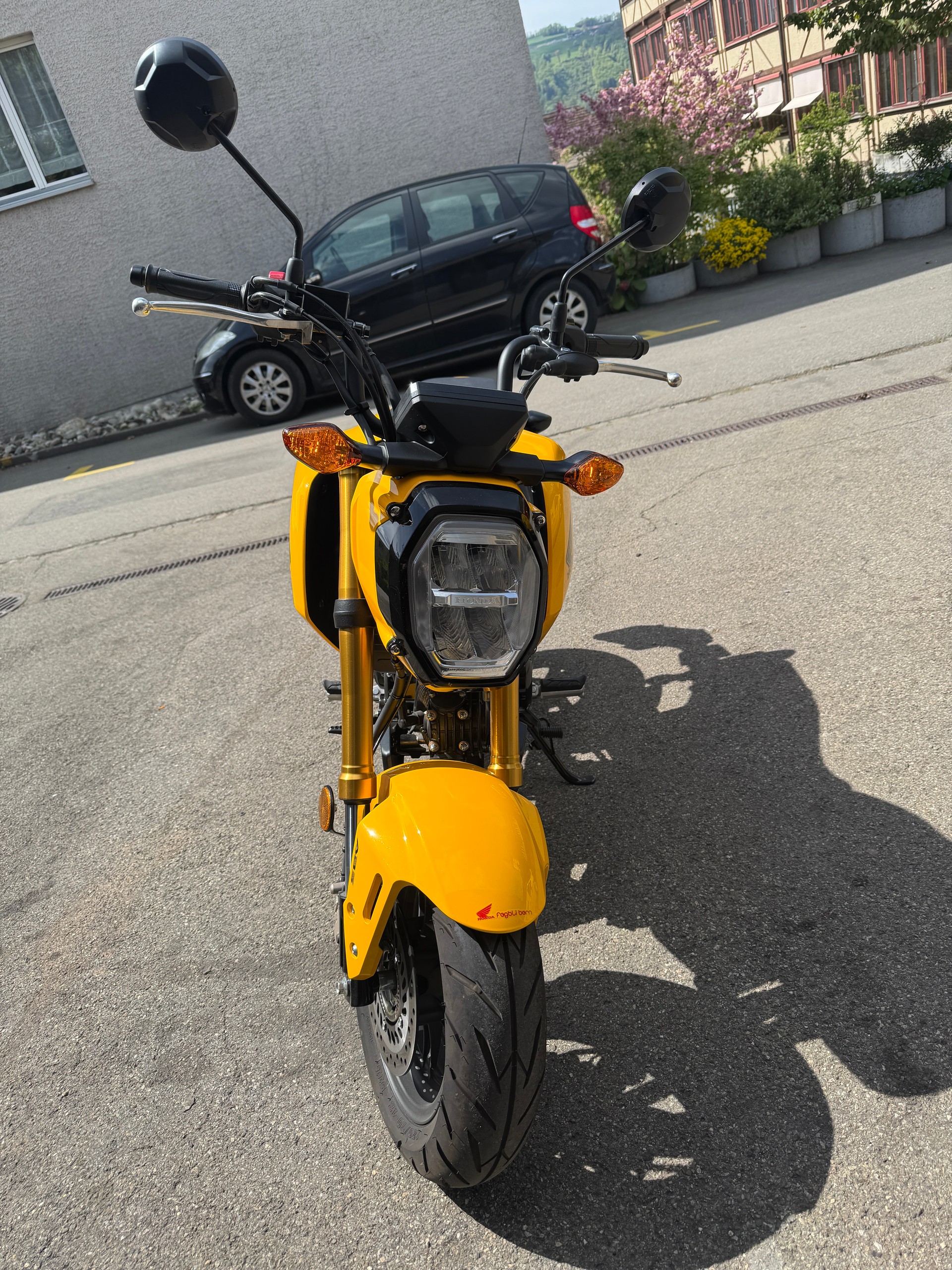 HONDA MSX 125-image-2