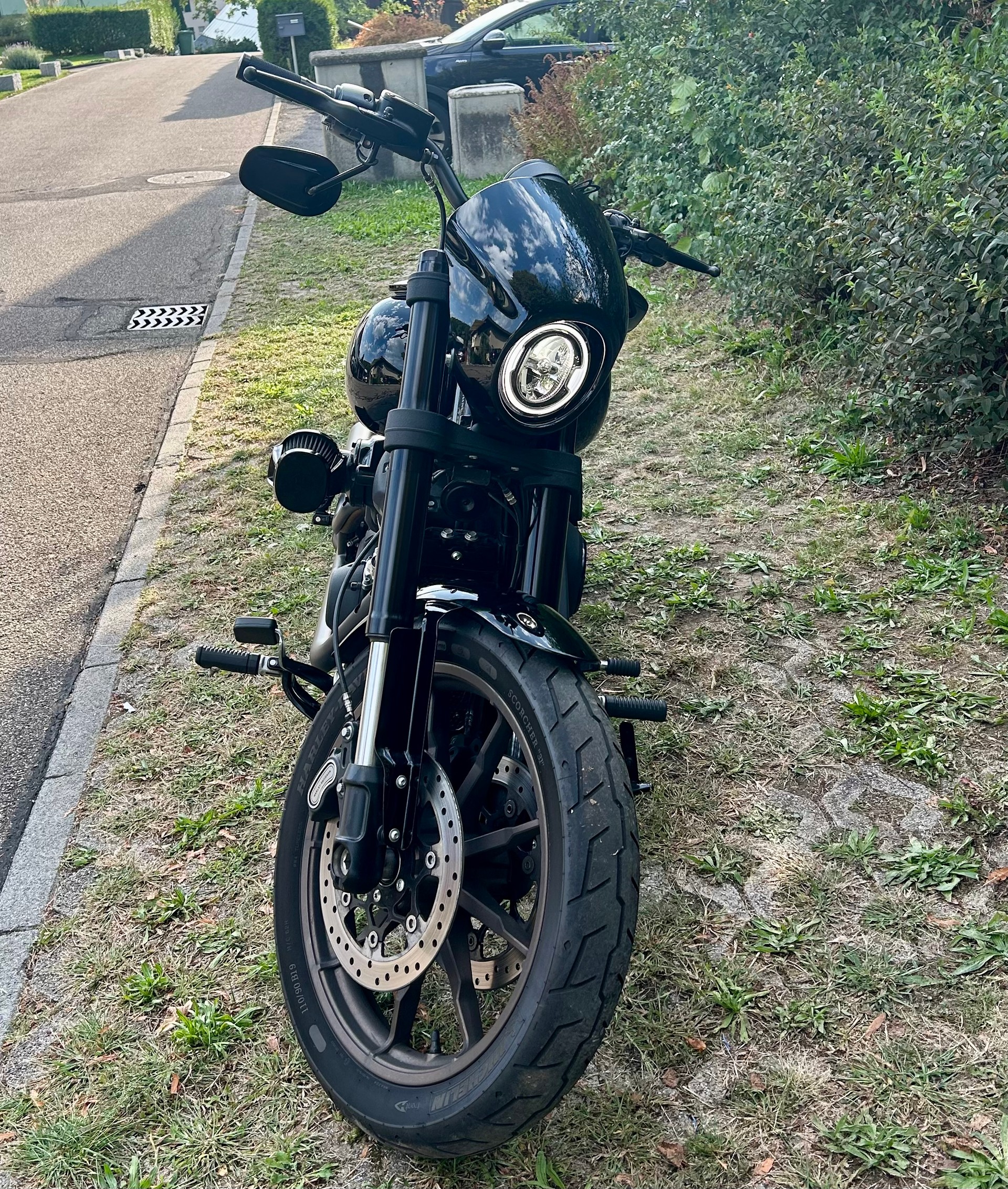 HARLEY-DAVIDSON FXLRS Low Rider S 117-image-1