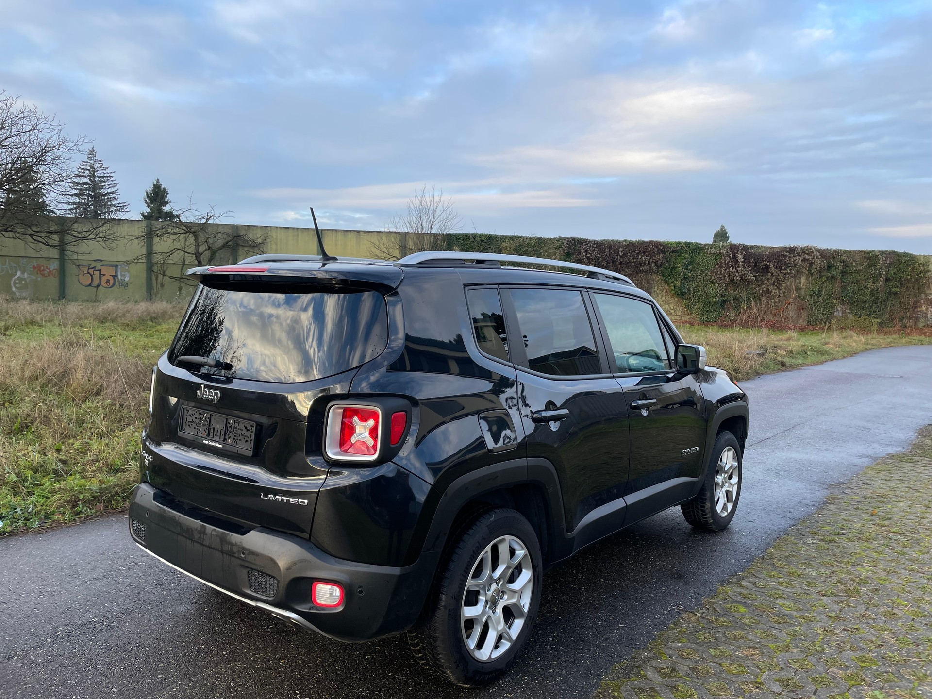 JEEP Renegade 2.0 CRD Limited AWD + Low Range 9ATX-image-4