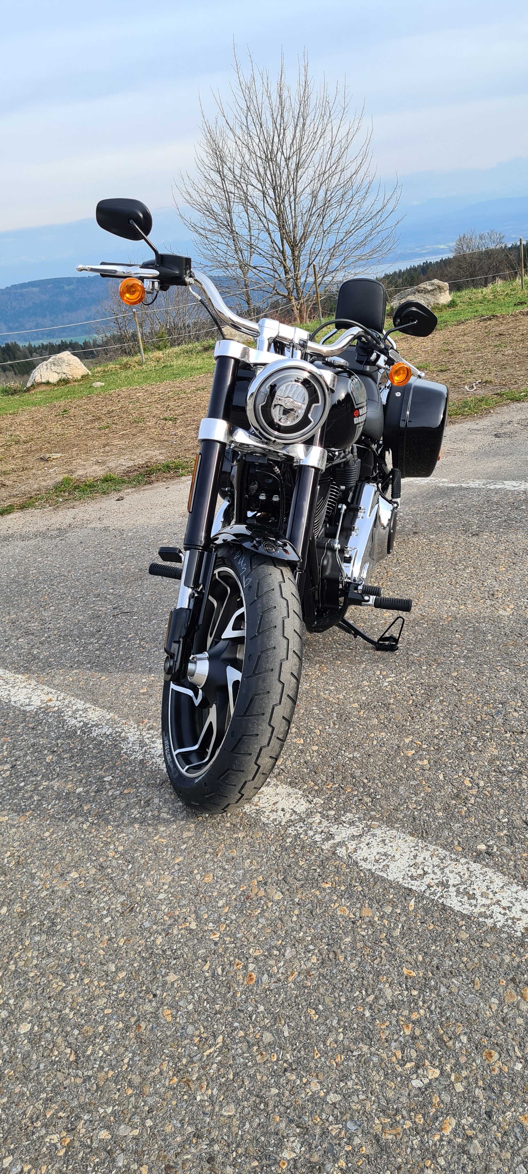 HARLEY-DAVIDSON FLSB Sport Glide 107-image-1