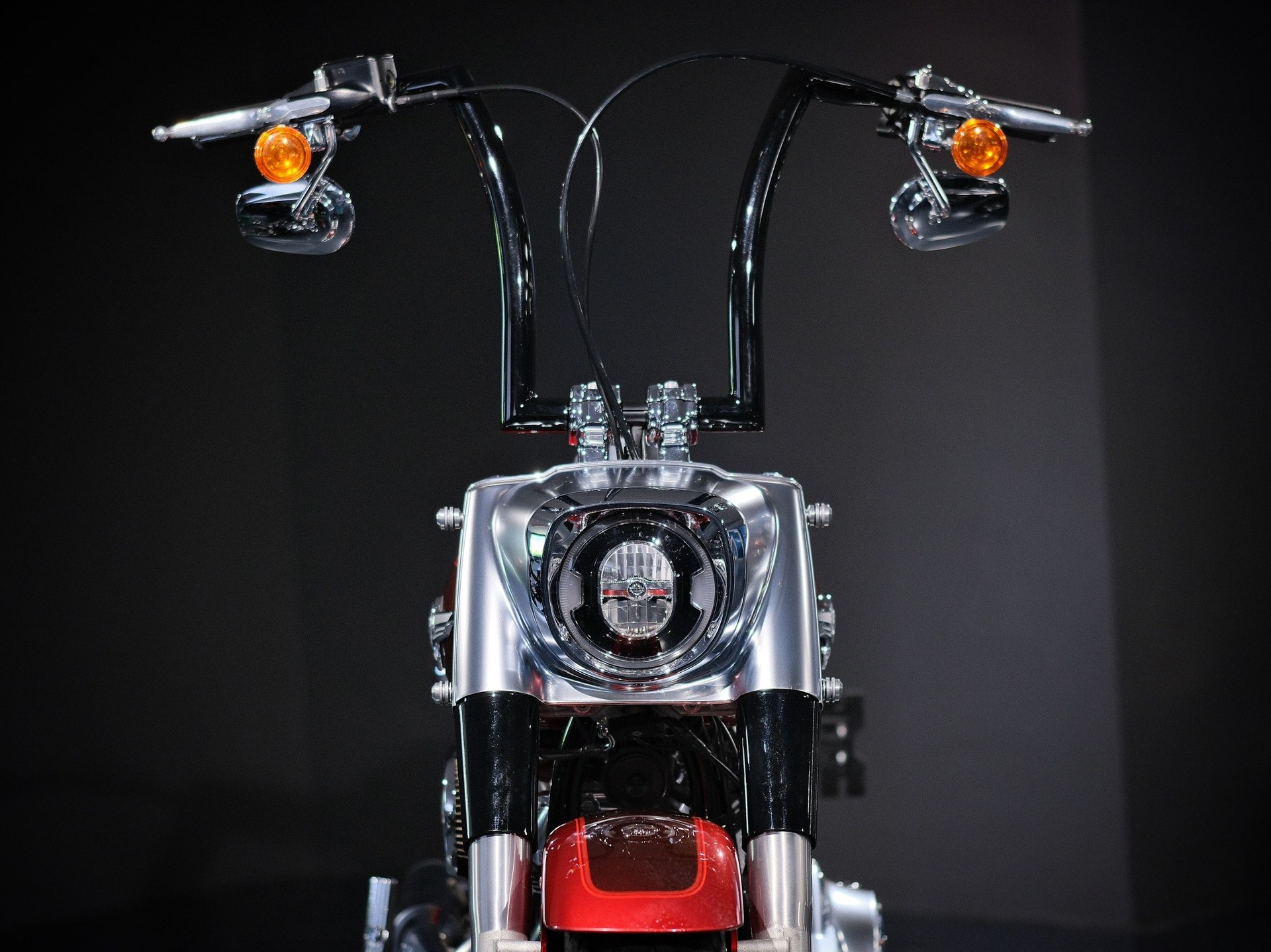 HARLEY-DAVIDSON FLFBS Fat Boy 114 ABS-image-14