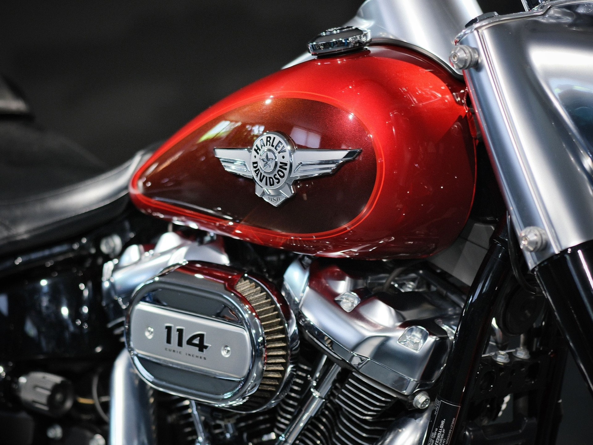 HARLEY-DAVIDSON FLFBS Fat Boy 114 ABS-image-8
