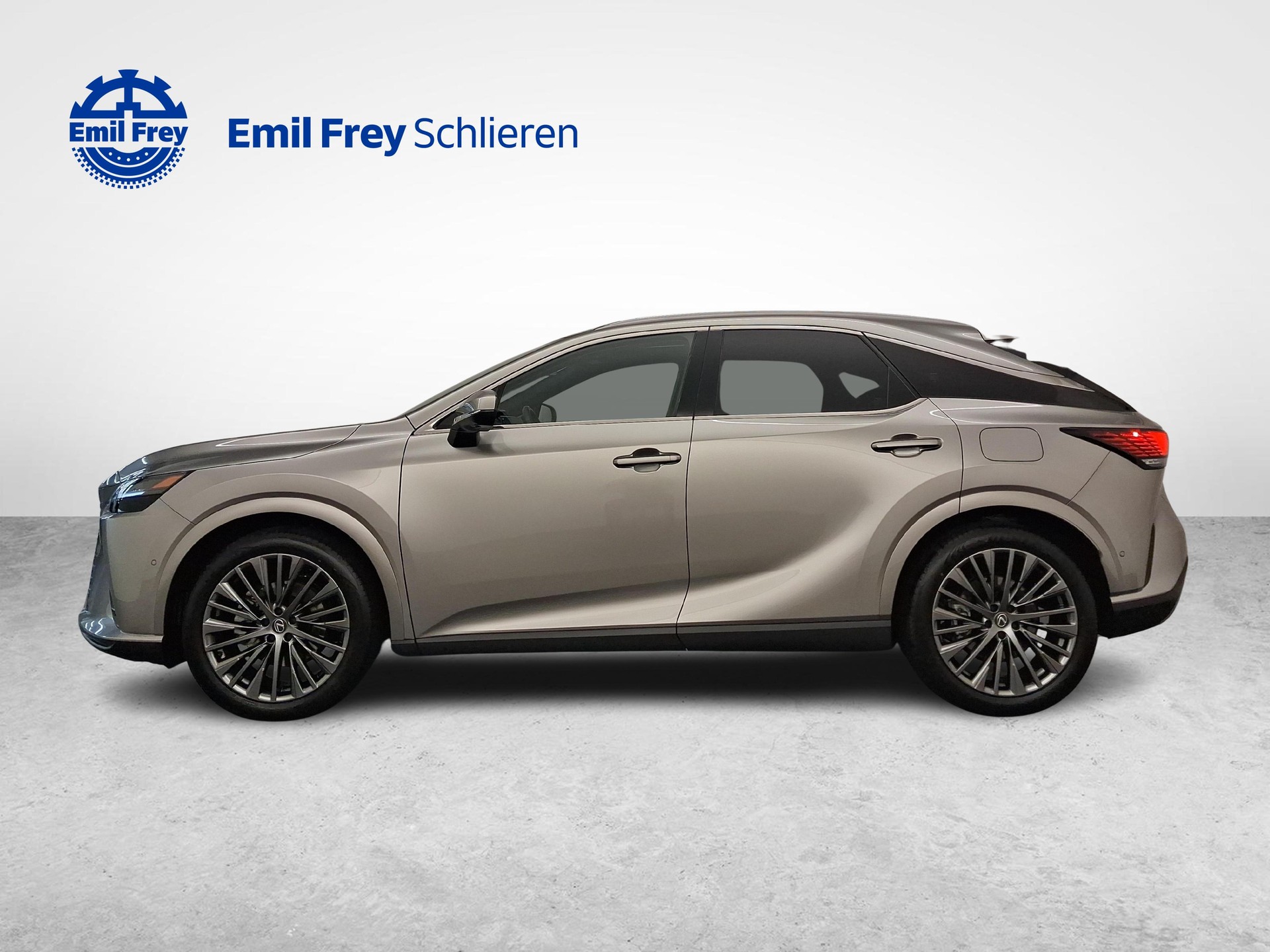 LEXUS RX 450h+ Excellence-showroom-element-1