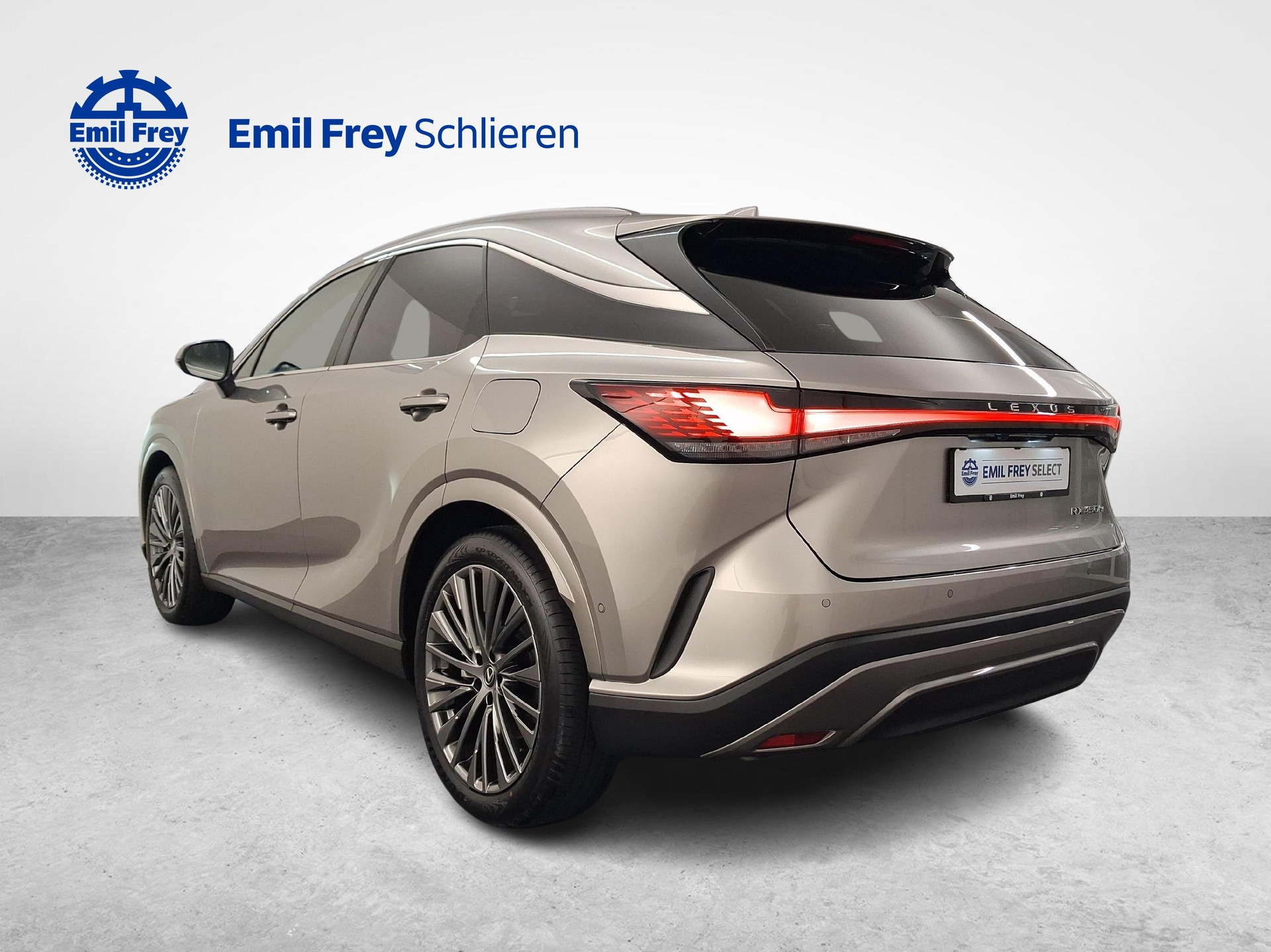 LEXUS RX 450h+ Excellence-showroom-element-2
