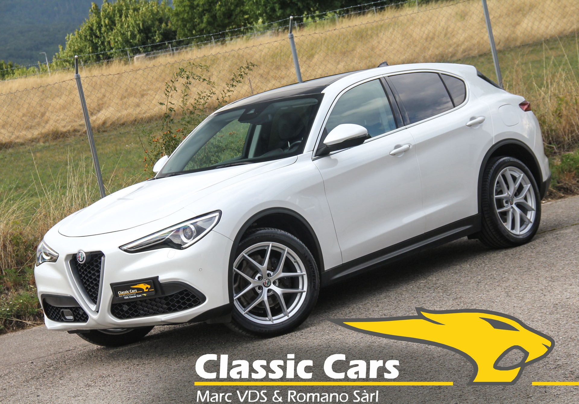 ALFA ROMEO Stelvio 2.0 Executive Q4 Automatic ⭐⭐⭐⭐⭐