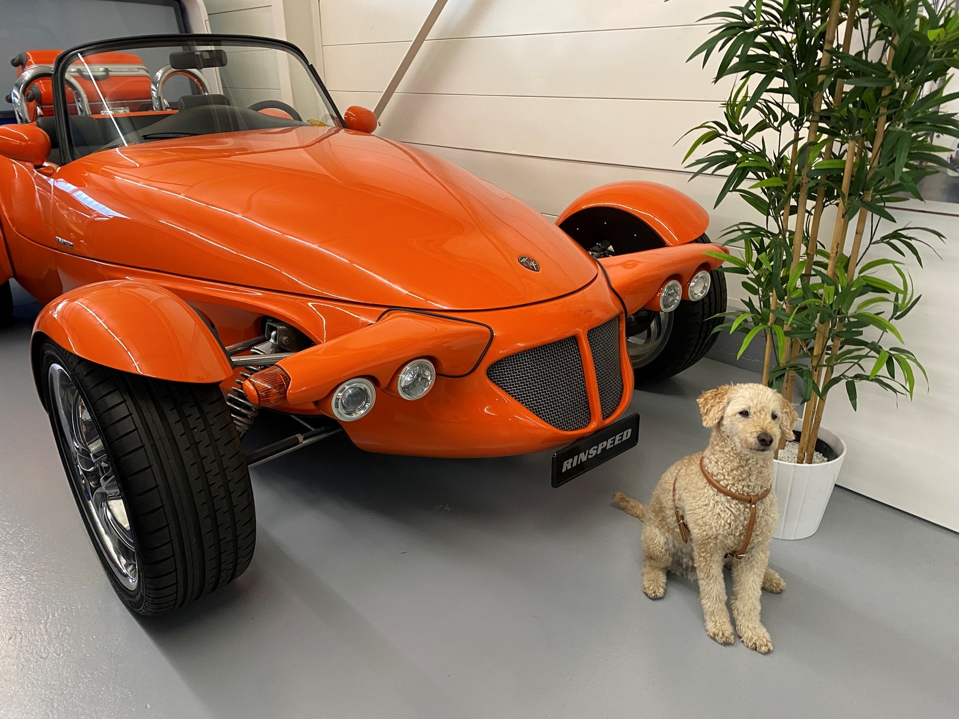 RINSPEED ROADSTER R-image-12