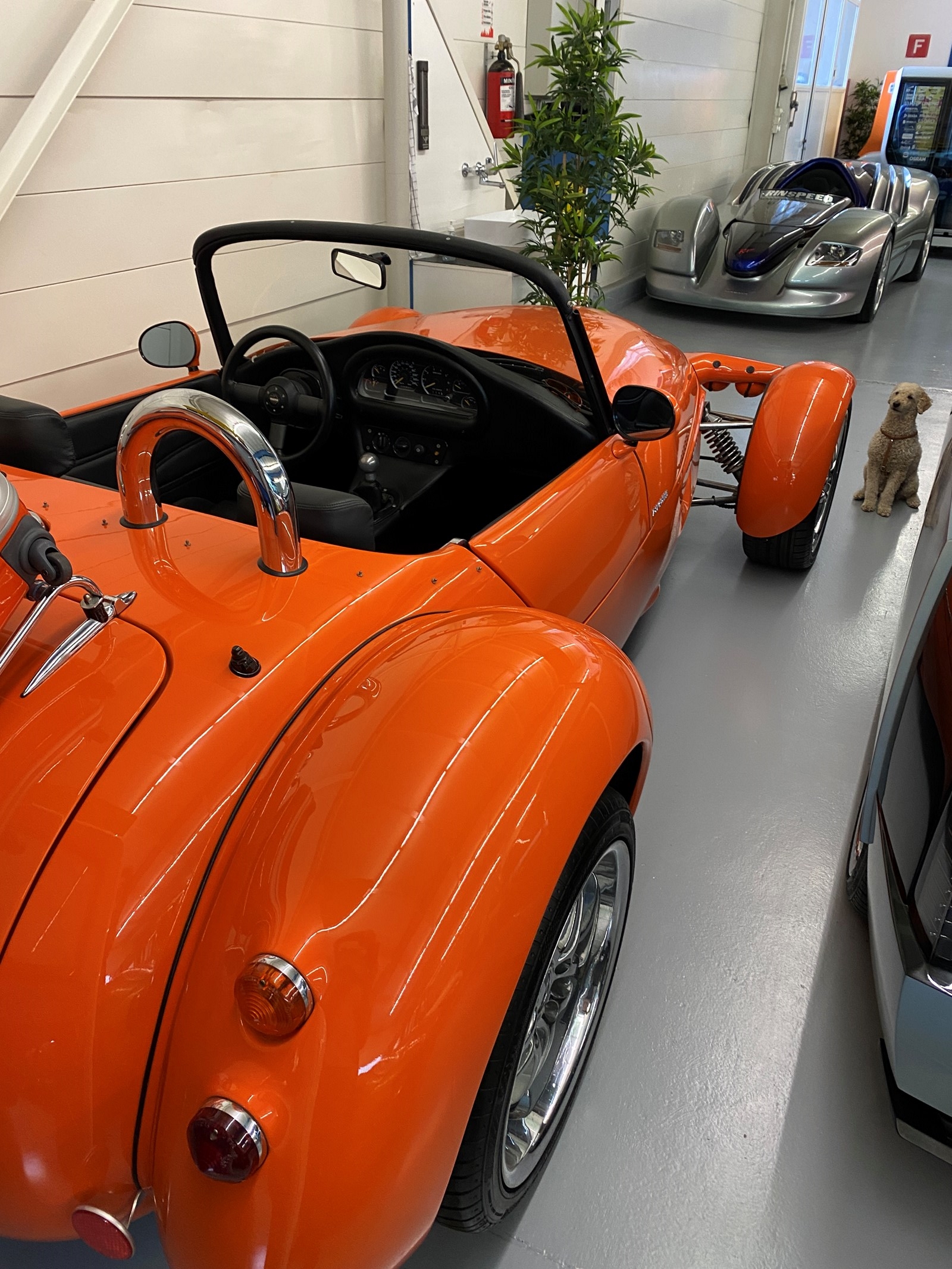 RINSPEED ROADSTER R