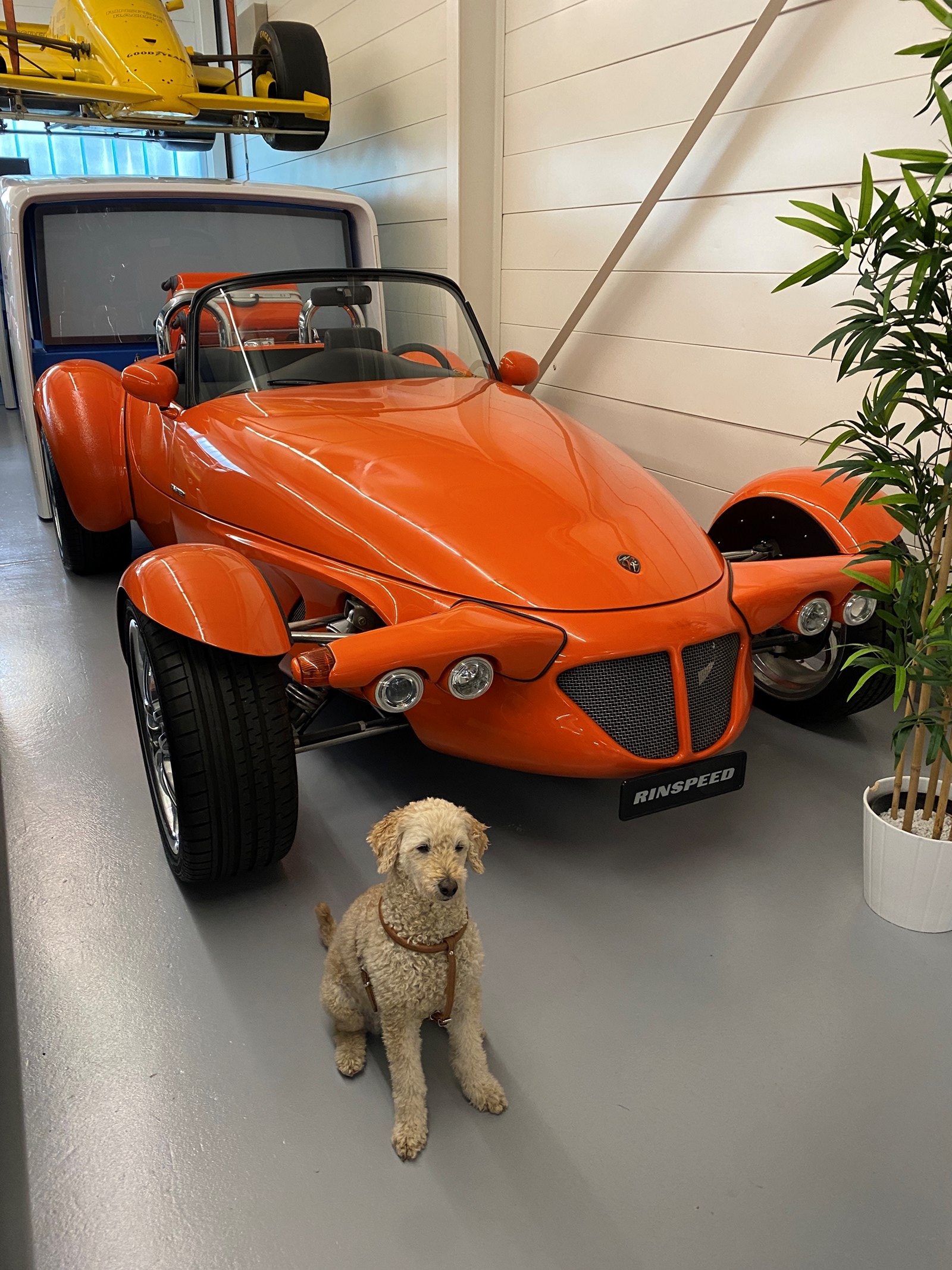 RINSPEED ROADSTER R-image-11