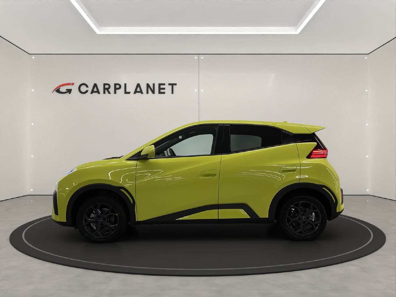 BYD Dolphin Surf Comfort-showroom-element-1