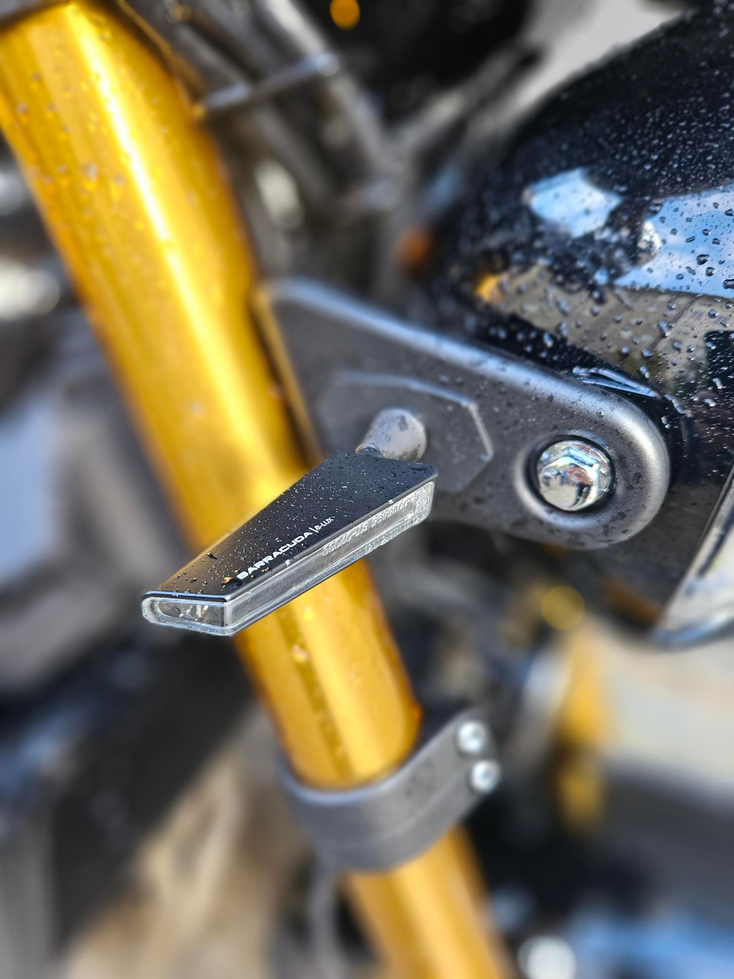 KAWASAKI Z 900 RS SE-image-2