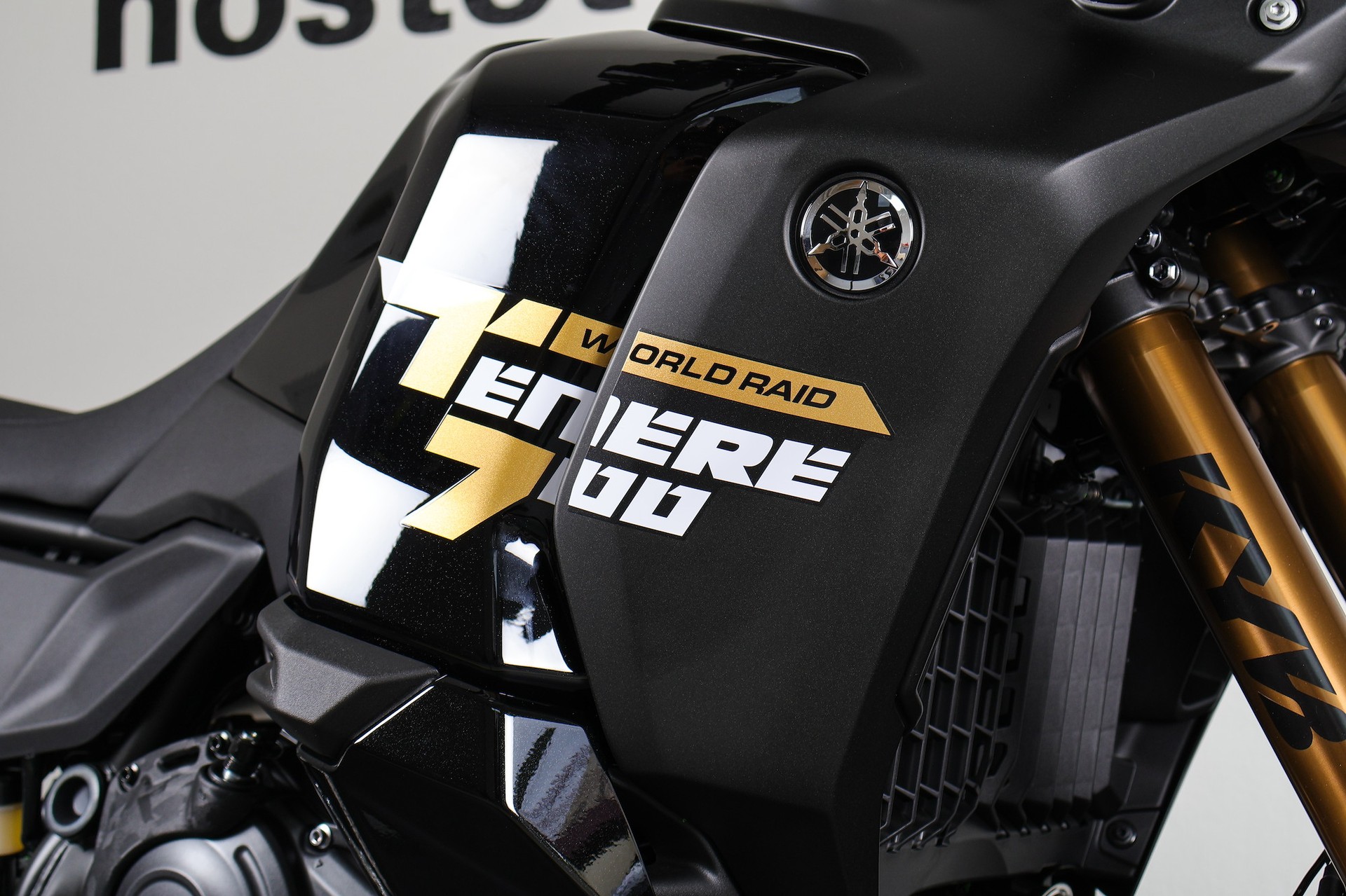 YAMAHA Ténéré 700 World Raid-image-6