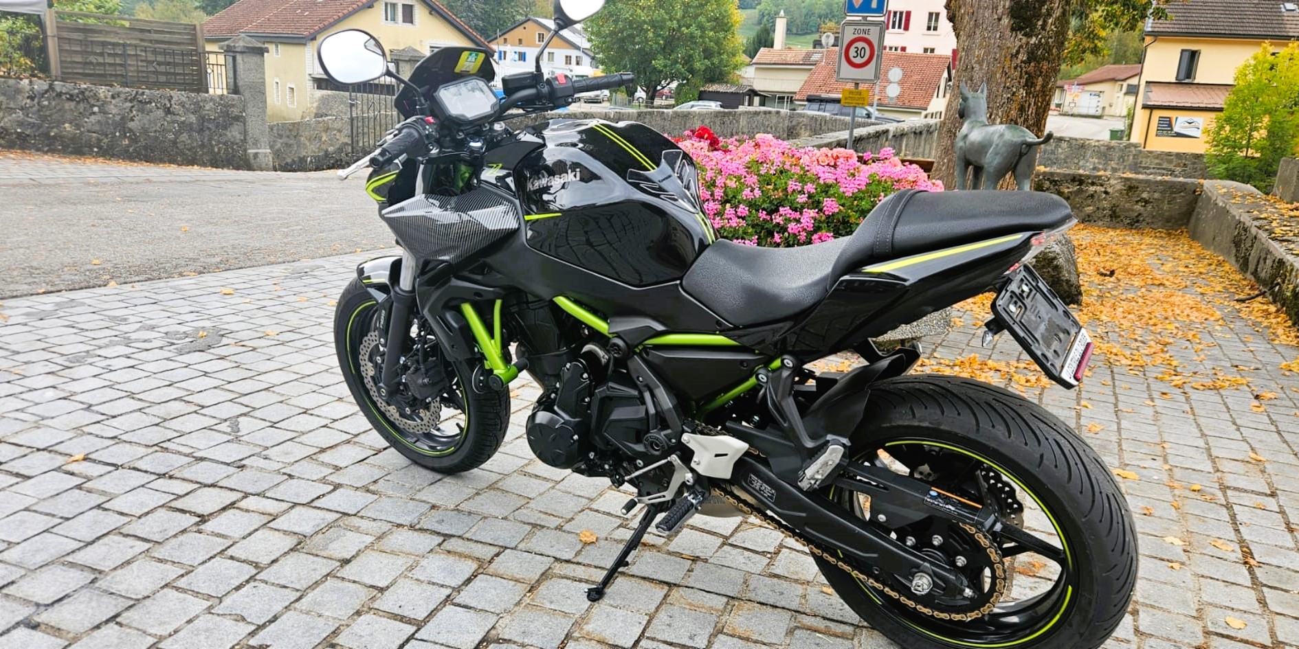 KAWASAKI Z 650 ABS-image-4