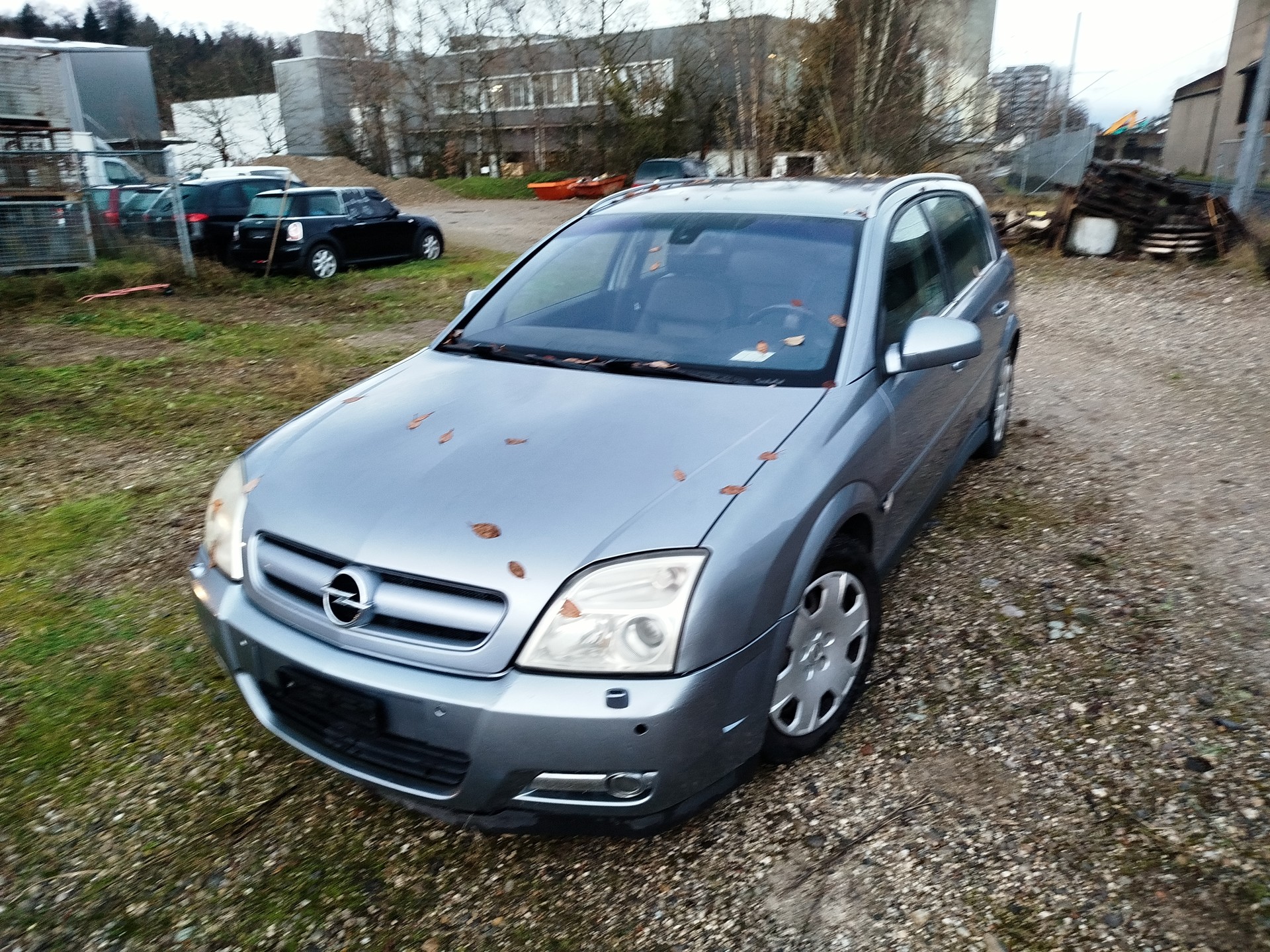OPEL Signum 3.2 Sport-image-1