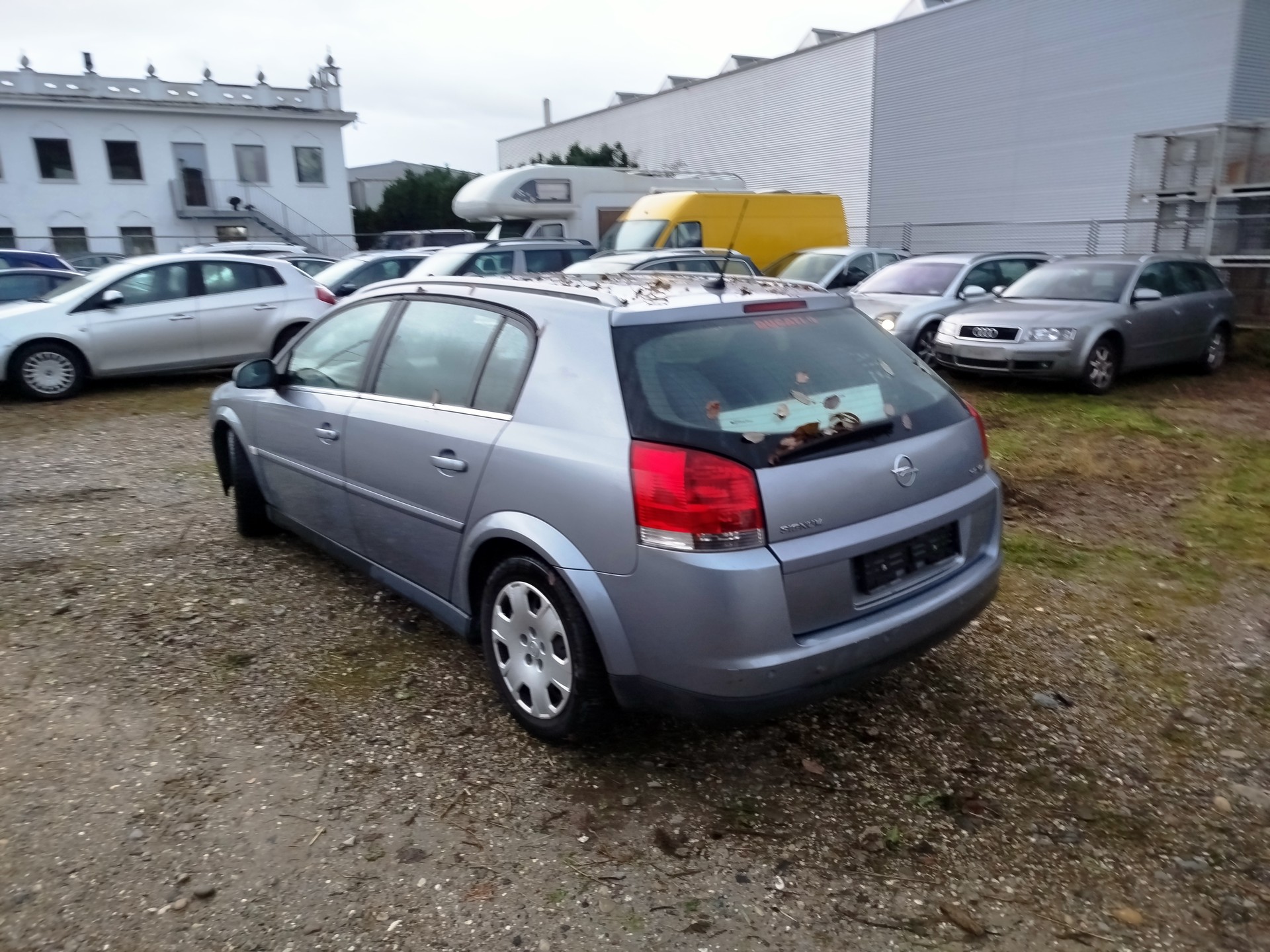 OPEL Signum 3.2 Sport-image-3