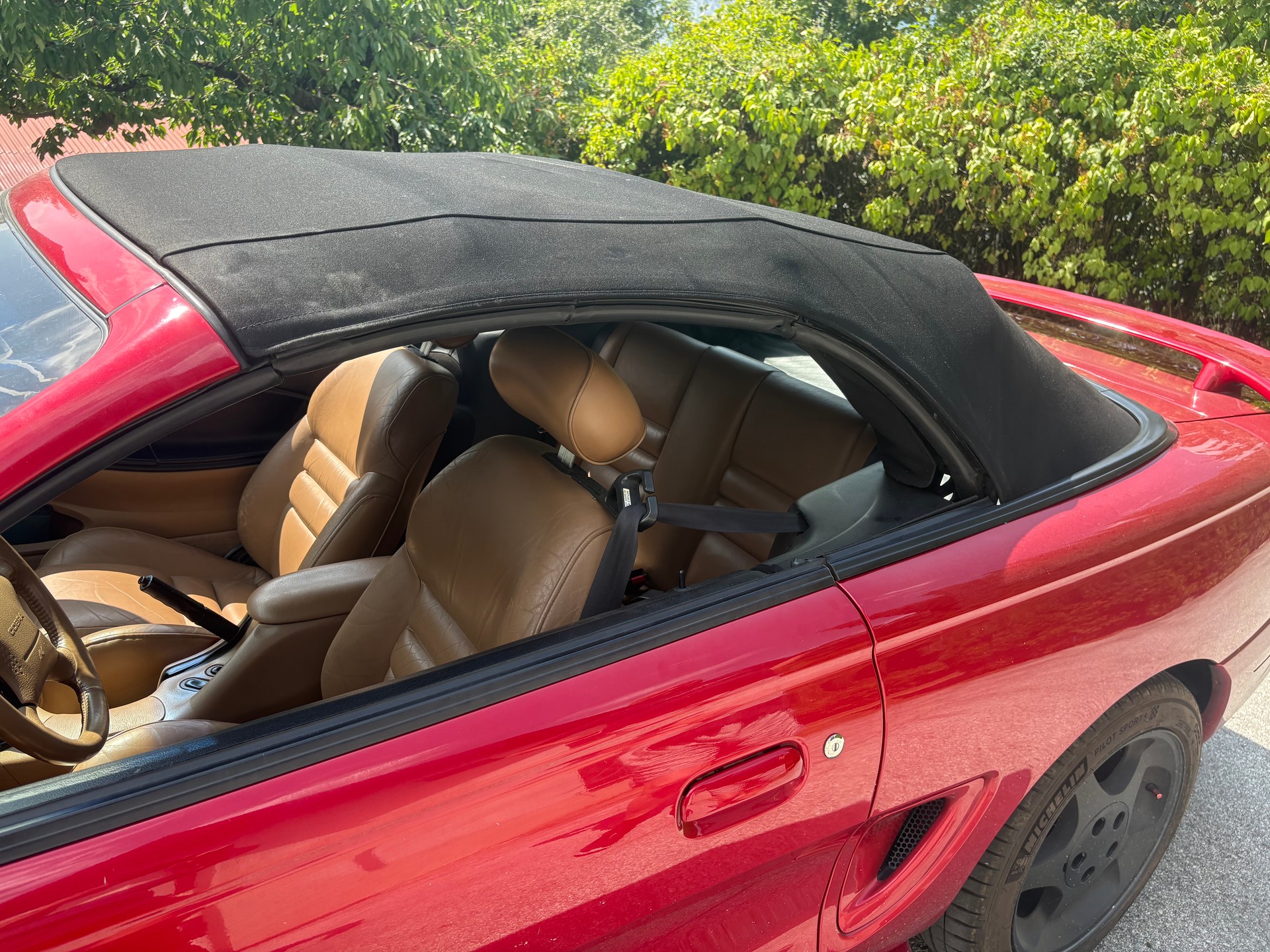 FORD COBRA STV 4.6 i-image-10