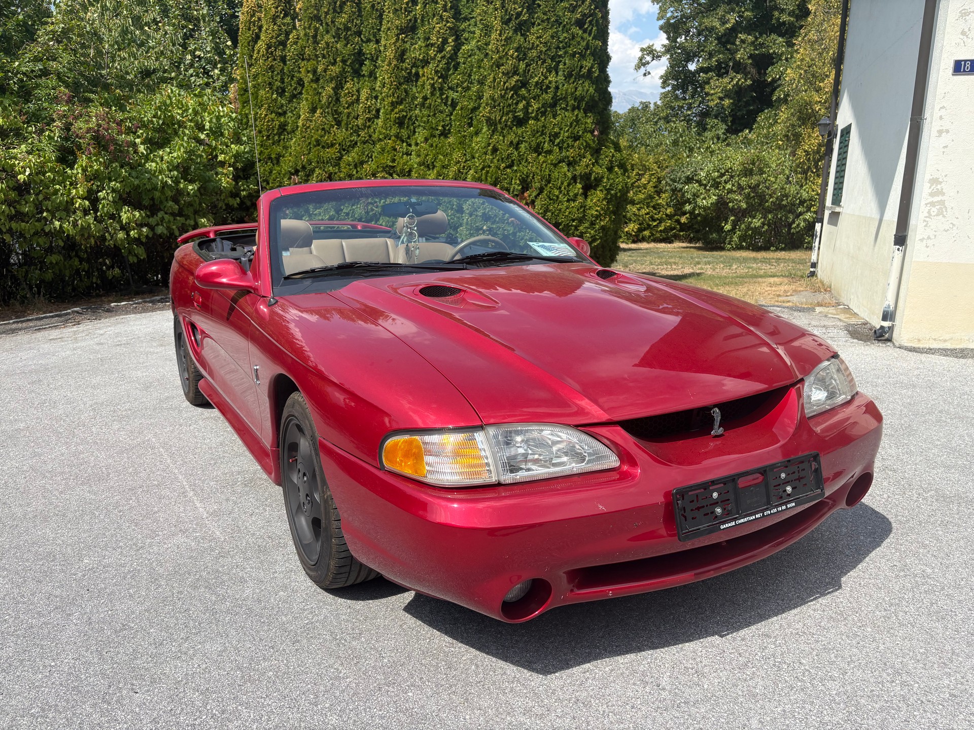 FORD COBRA STV 4.6 i-image-2