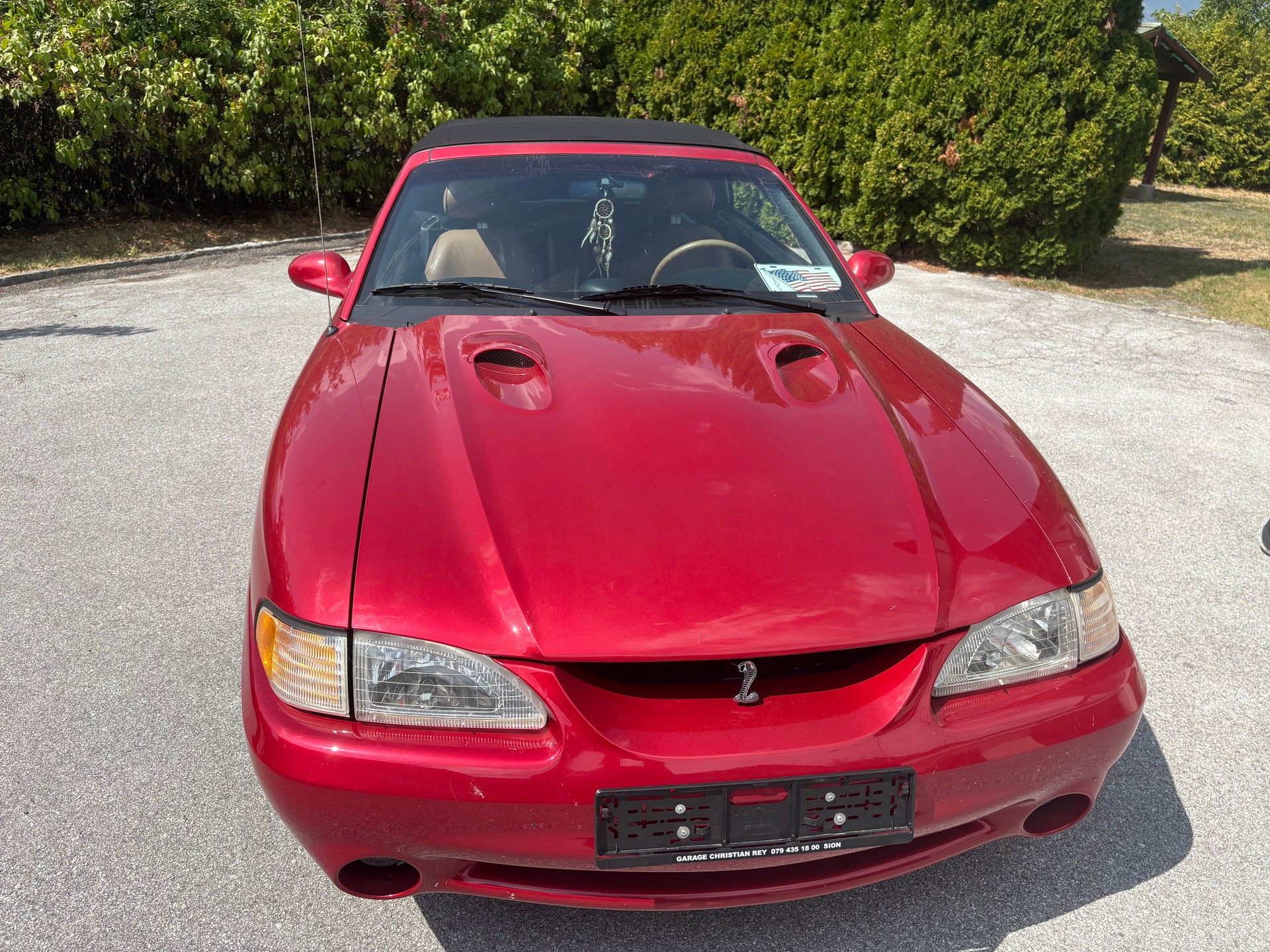FORD COBRA STV 4.6 i-image-8