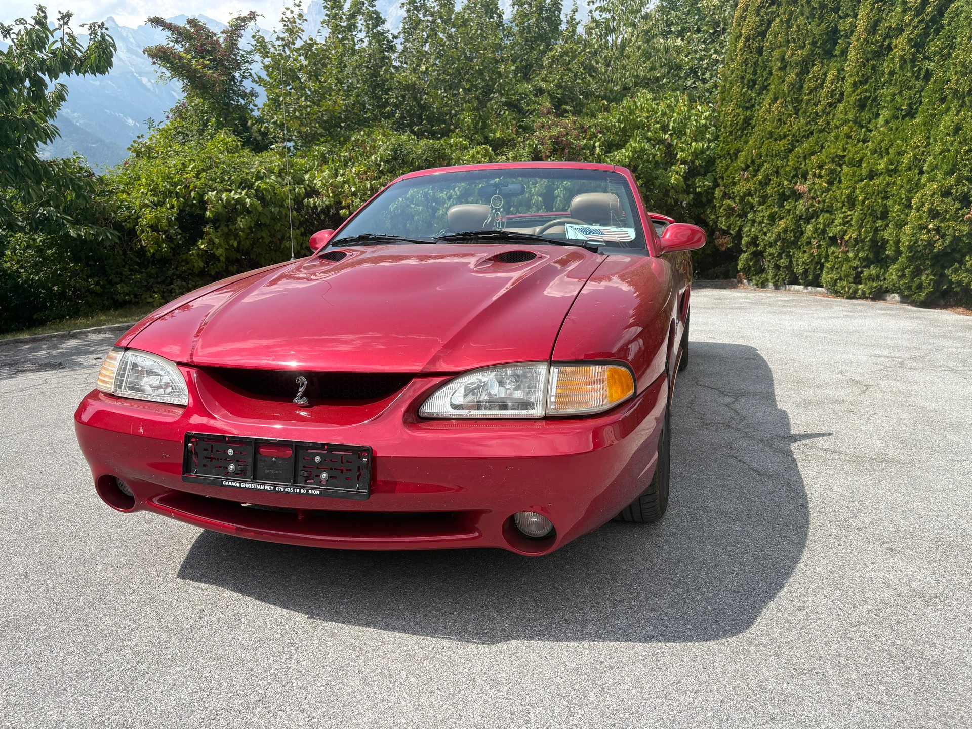 FORD COBRA STV 4.6 i-image-1
