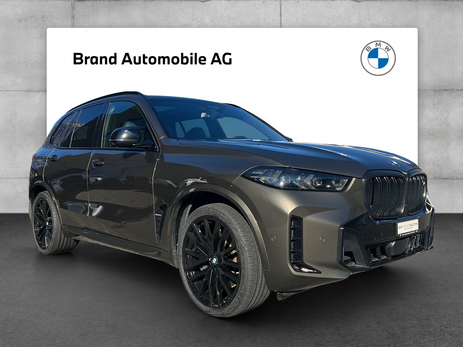 BMW X5 M60i xDrive-image-6