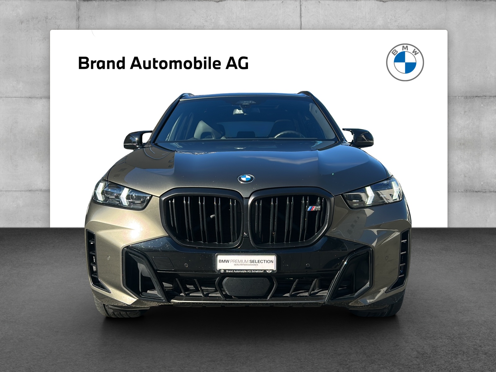 BMW X5 M60i xDrive-image-7
