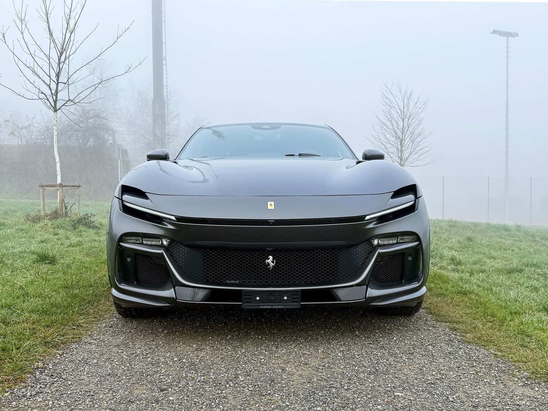 FERRARI PUROSANGUE-image-2